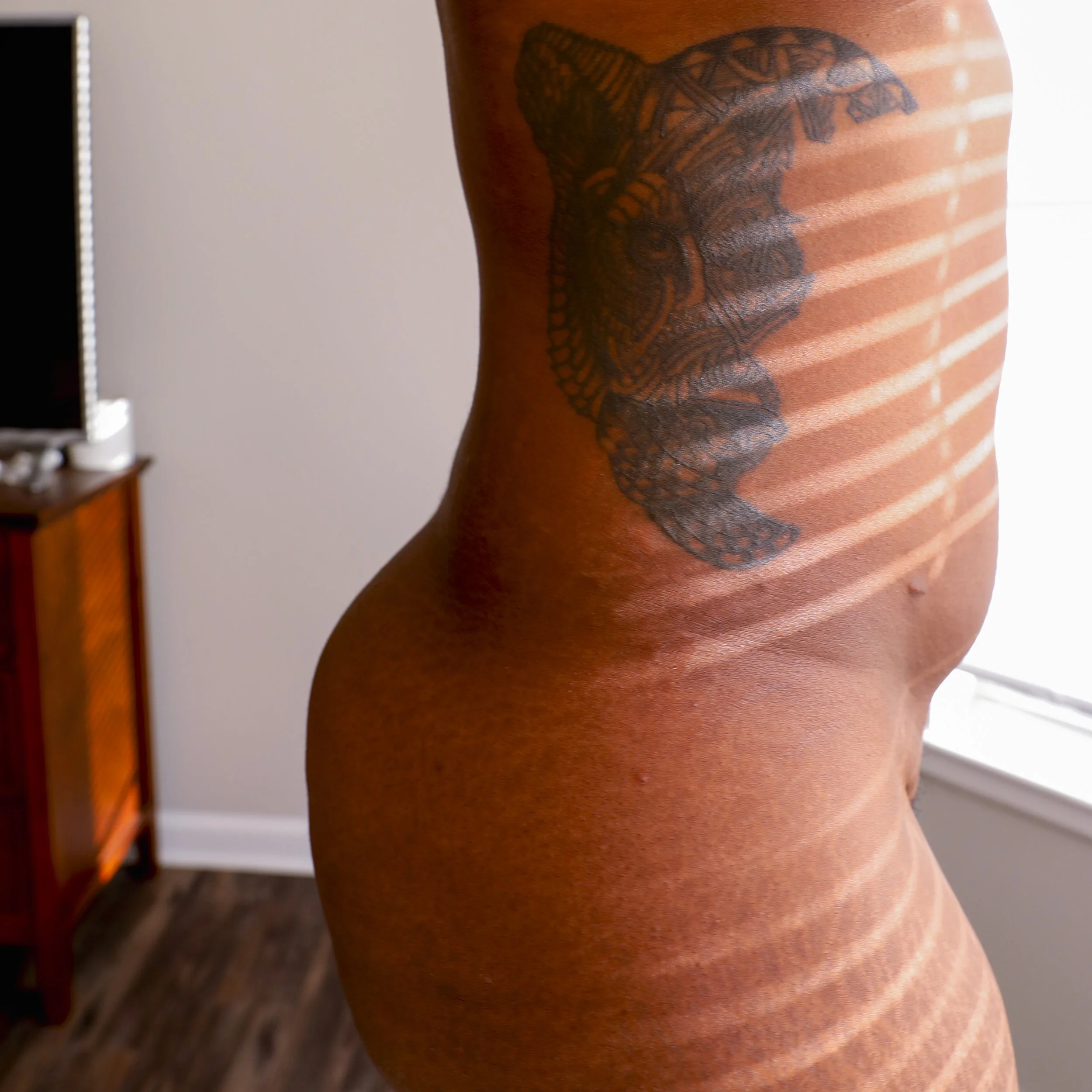 Scars & Stripes