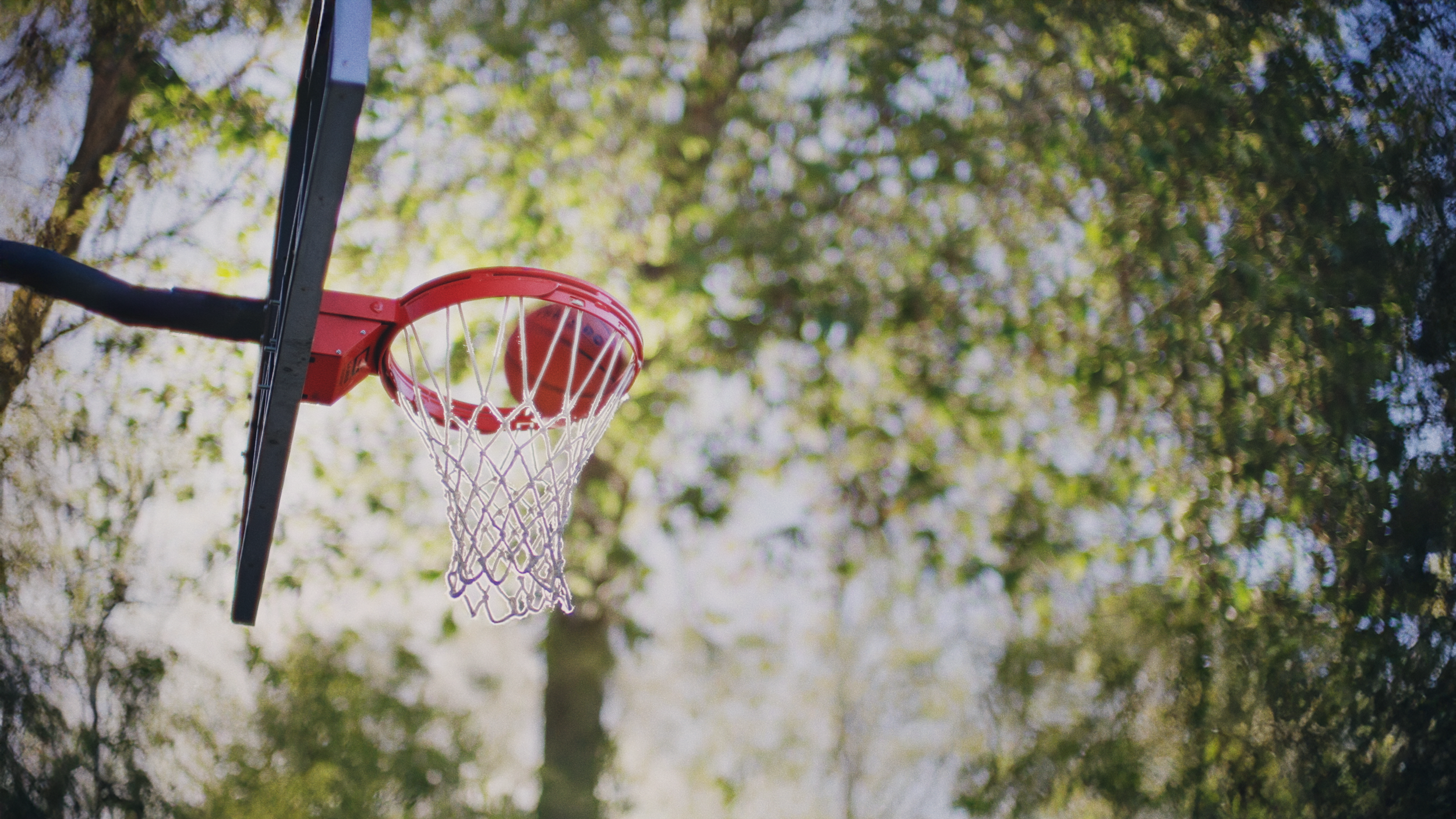 OUTDOOR HOOP III.png