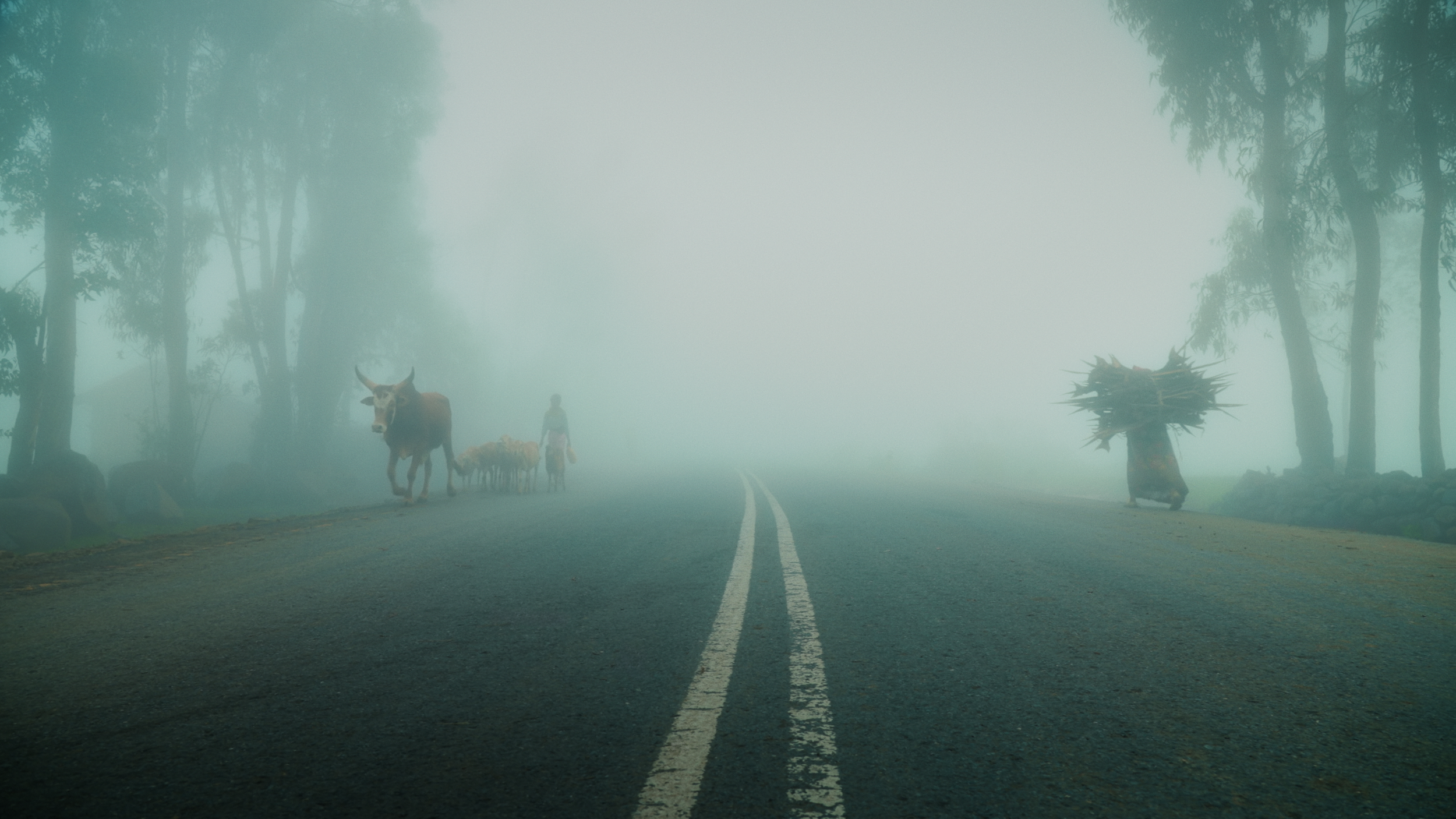 MISTY ROAD.png
