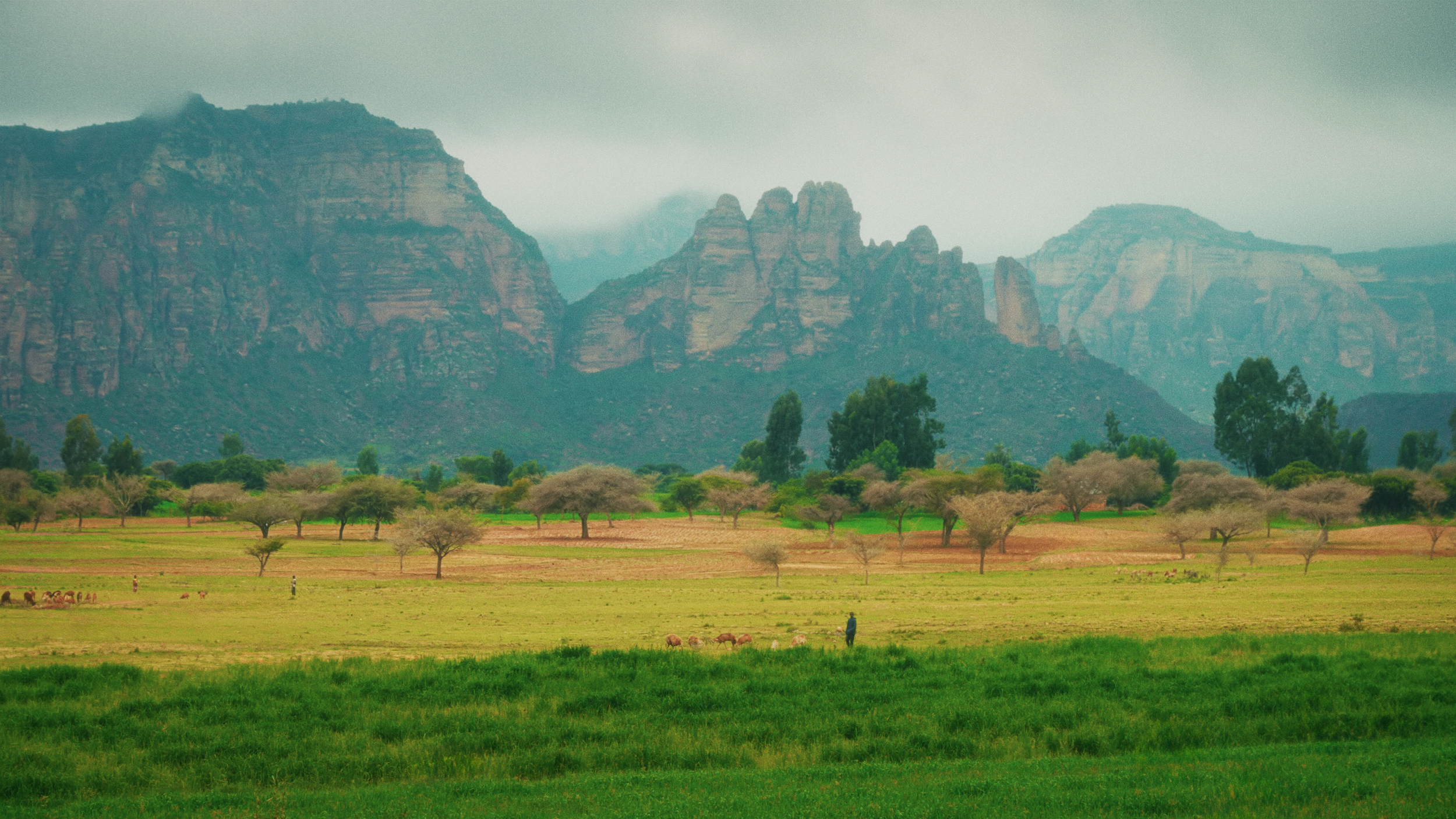 MOUNTAINS.png