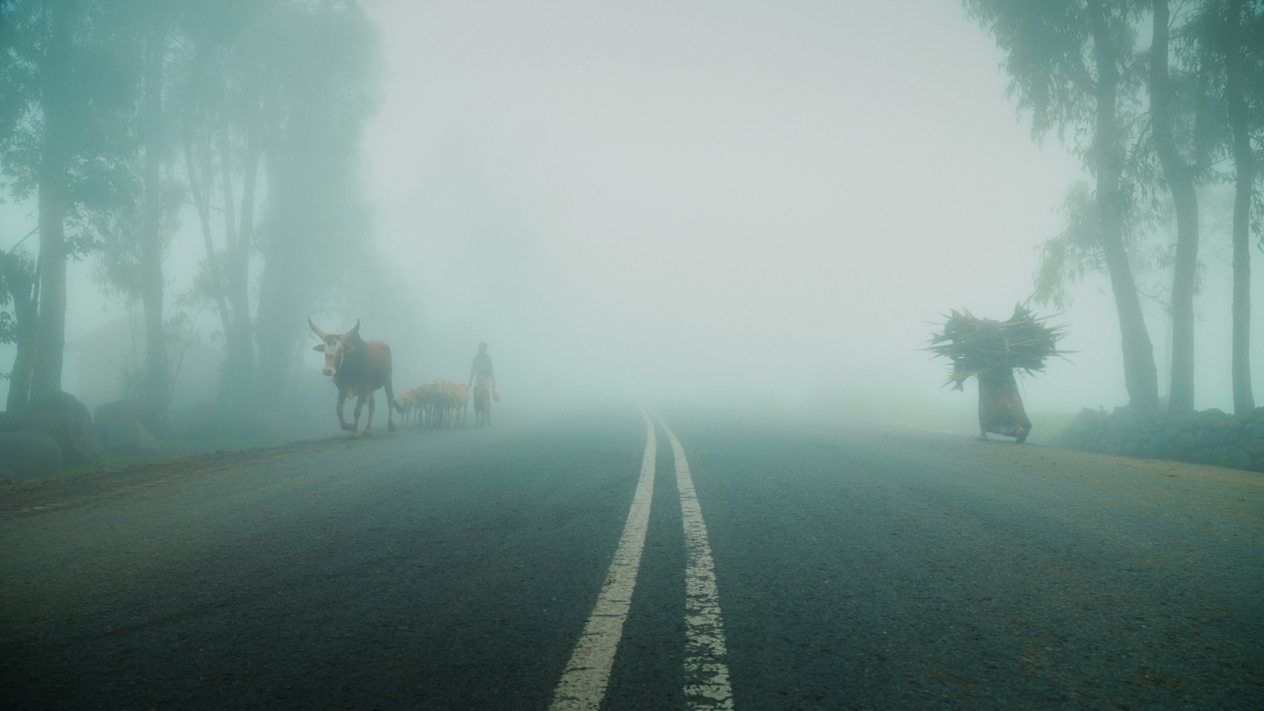 MISTY ROAD.png