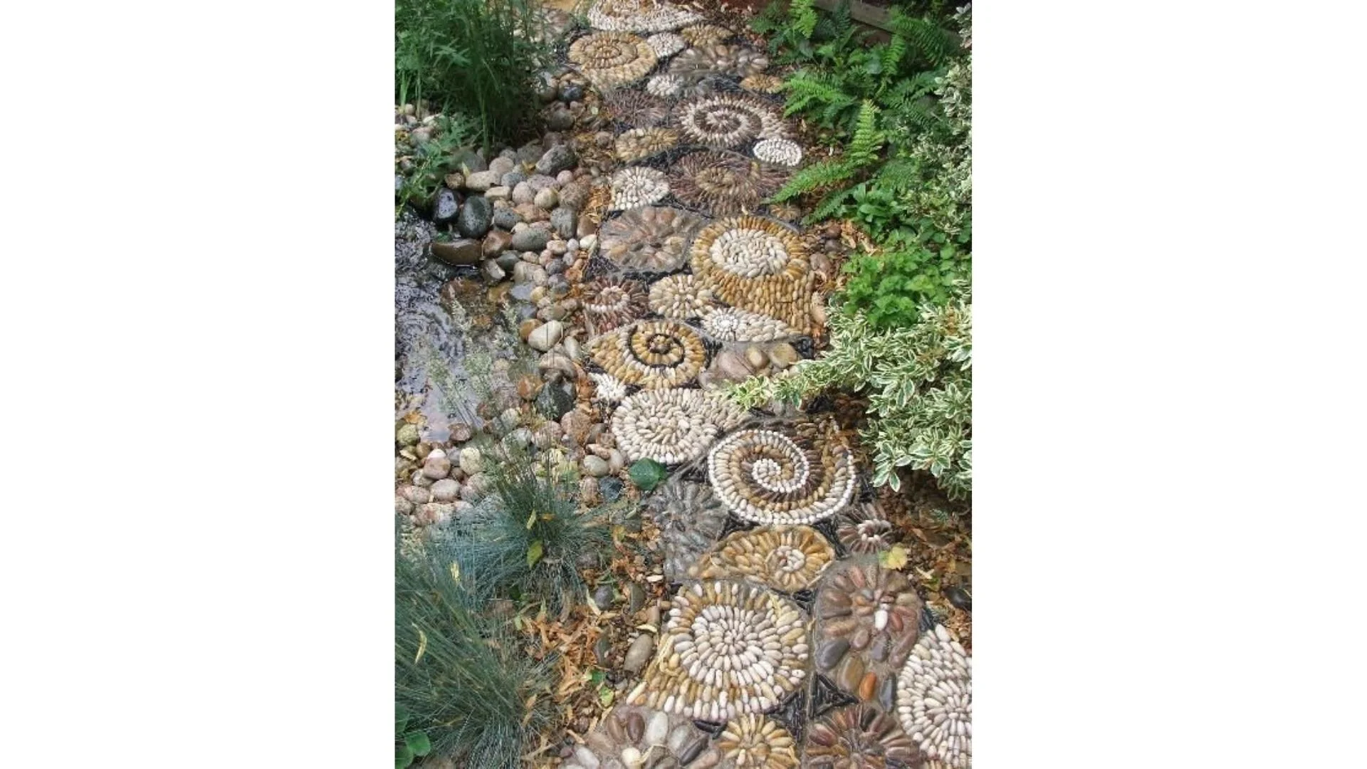 94.jpg