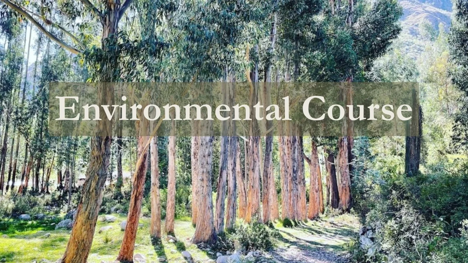 Environmental Course (for children, adults, teens, organizations, companies, governments)