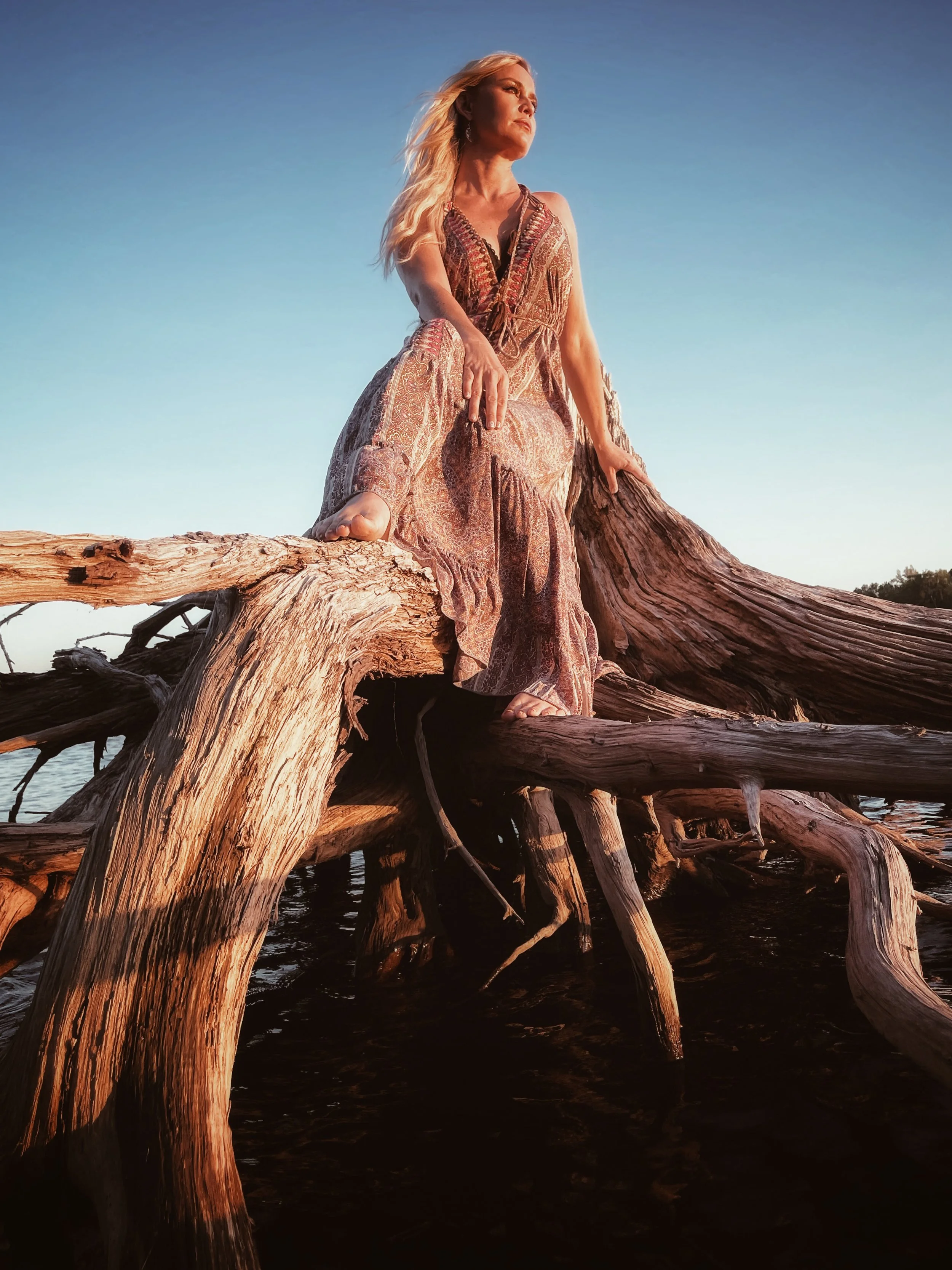 LIVE MUSIC: Sofia Talvik