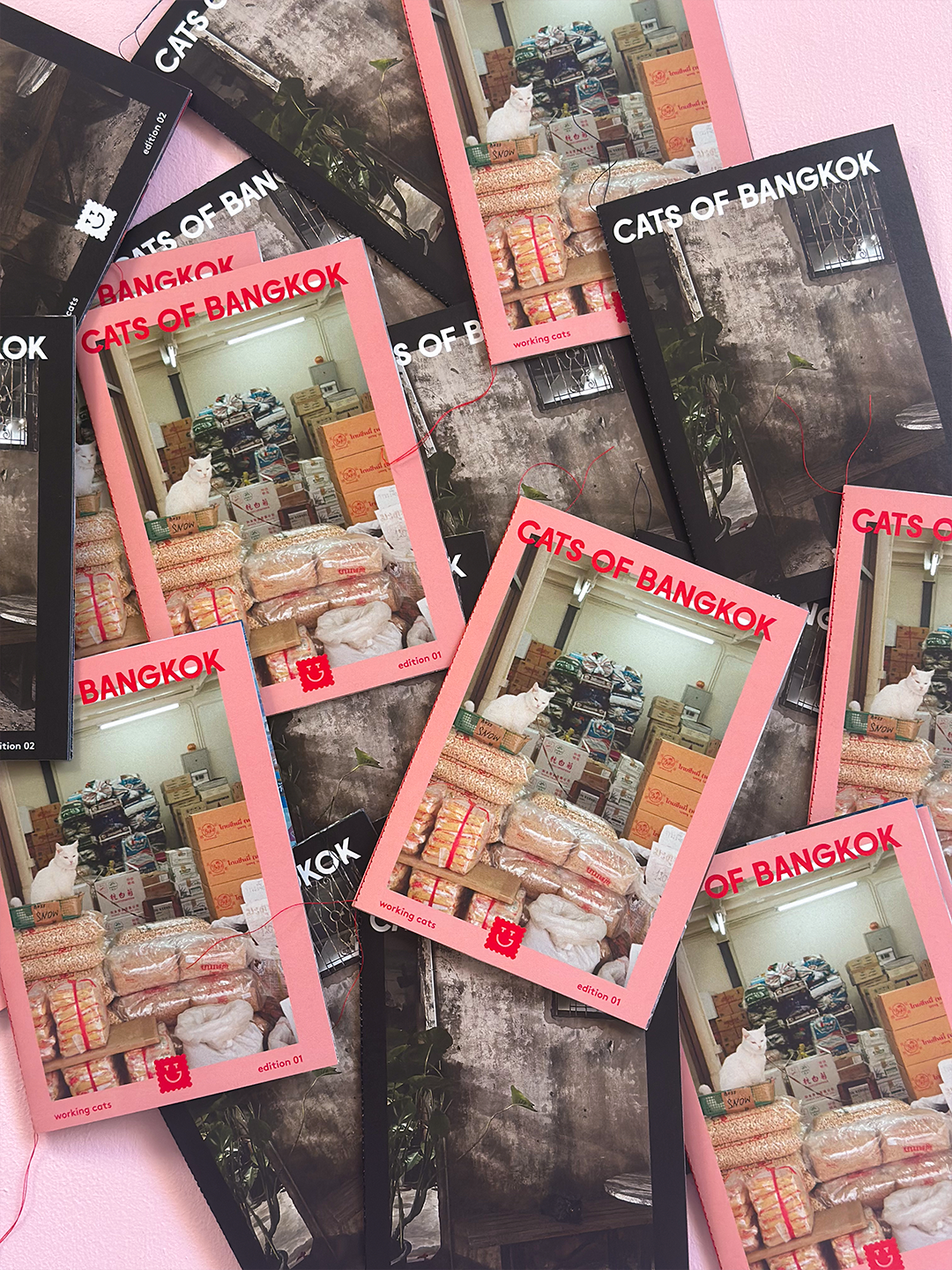 Cats of Bangkok - Tiny Travel Guide