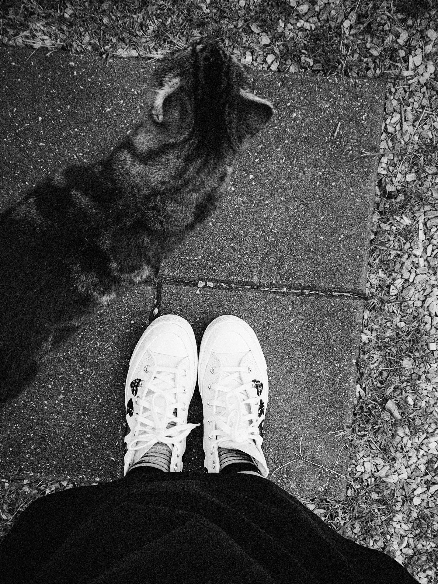&hellip;snaps from taking my Pentax Espio 105S for a spin 🖤

The shutter forgets to open all the way sometimes, giving a super cute vignettes. Not sad about it.