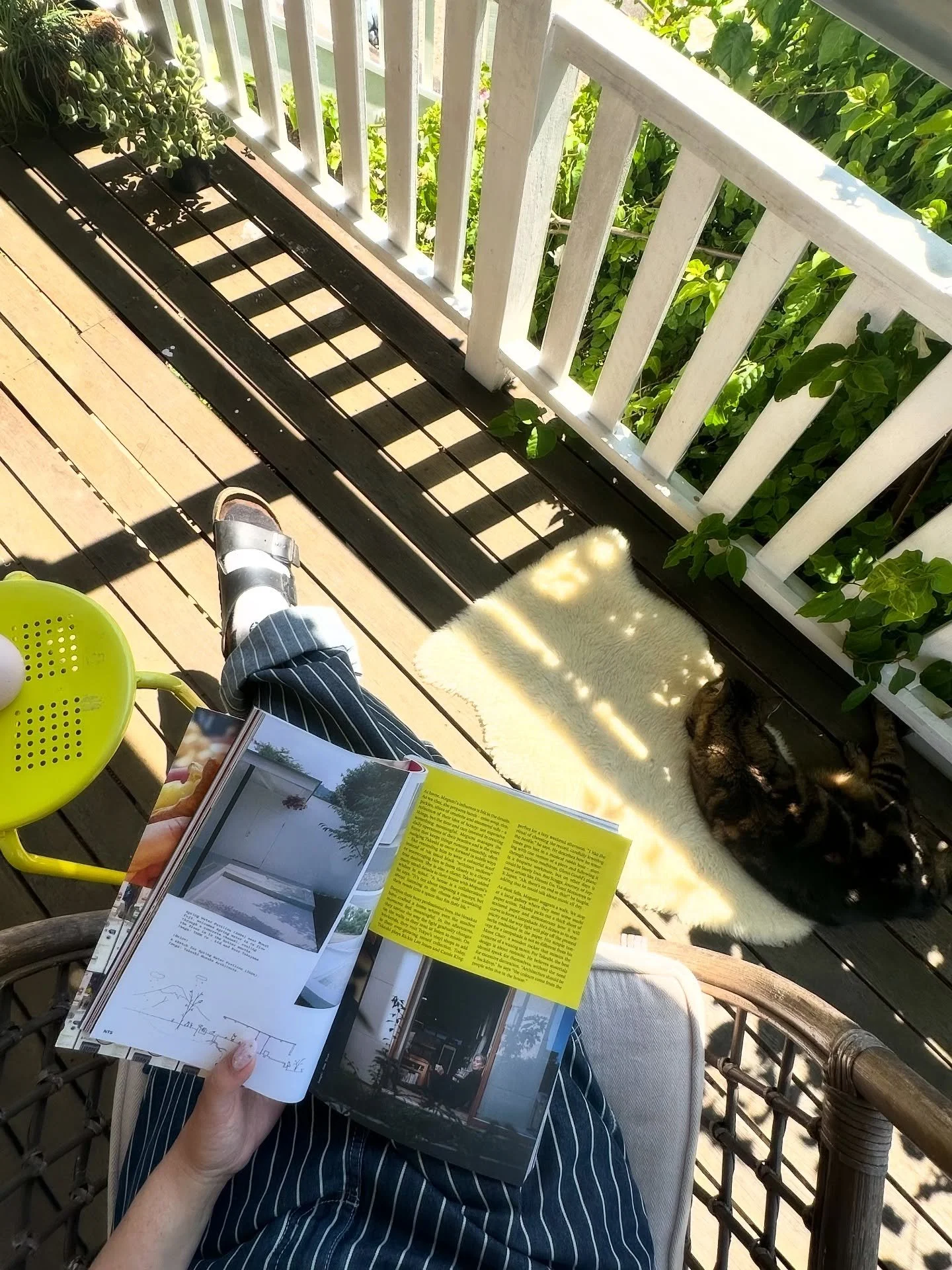 &hellip;birthday week ✨

1. Birthday magazine reads and cat hangs on the deck 🐈 
2. My orchid haul 
3. 🌸
4. Garage sale side quests 
5. 🌸🌸
6. 🎨
7. Brunch with the gals 💖
8. Iced coffee + quick thrifts
9. 🔥
10. 🌸🌸🌸
11. Sleepovers in gallerie