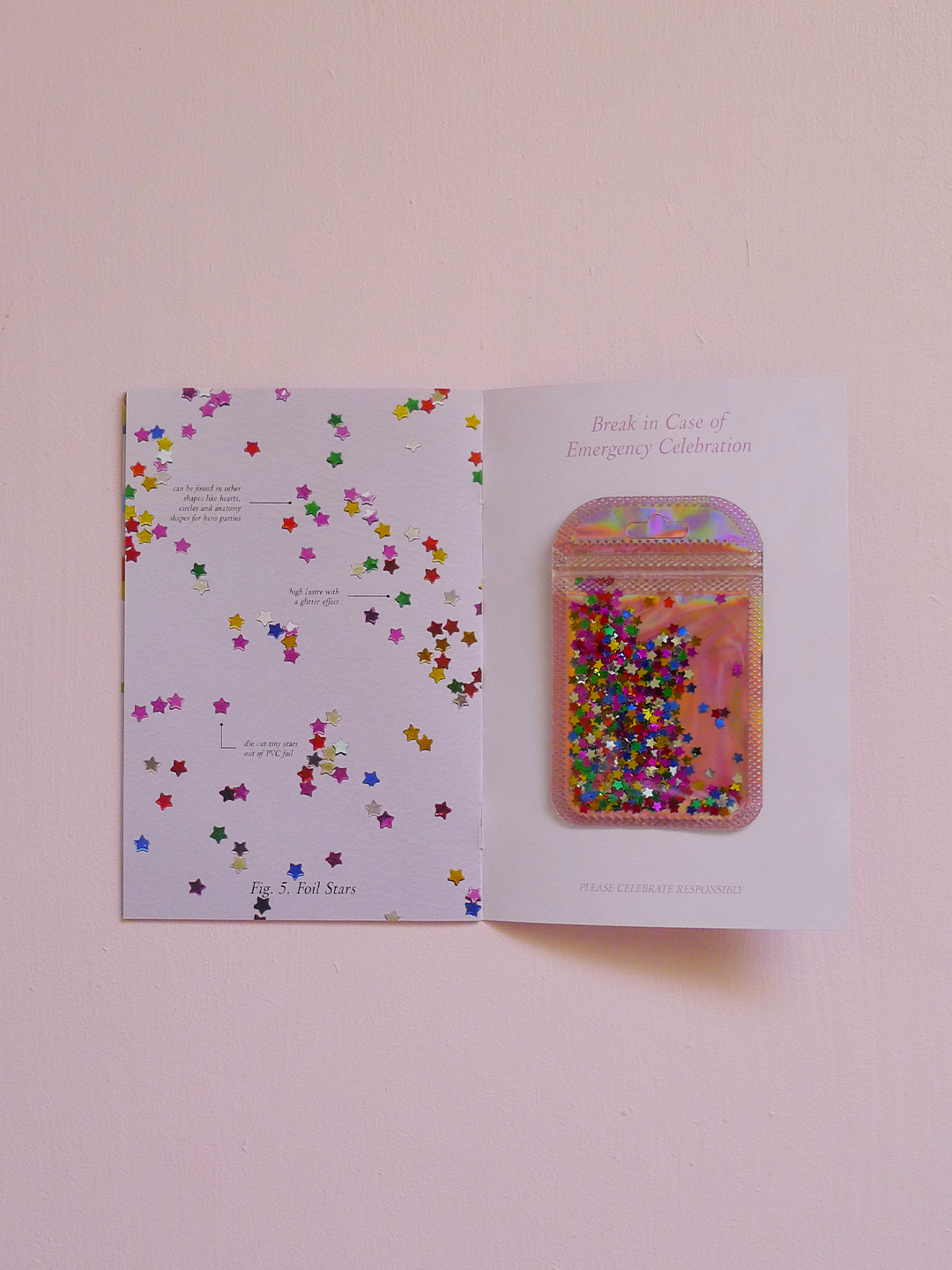 Tamara-Scheiwe_The-Anatomy-of-Confetti-Zine_03.png