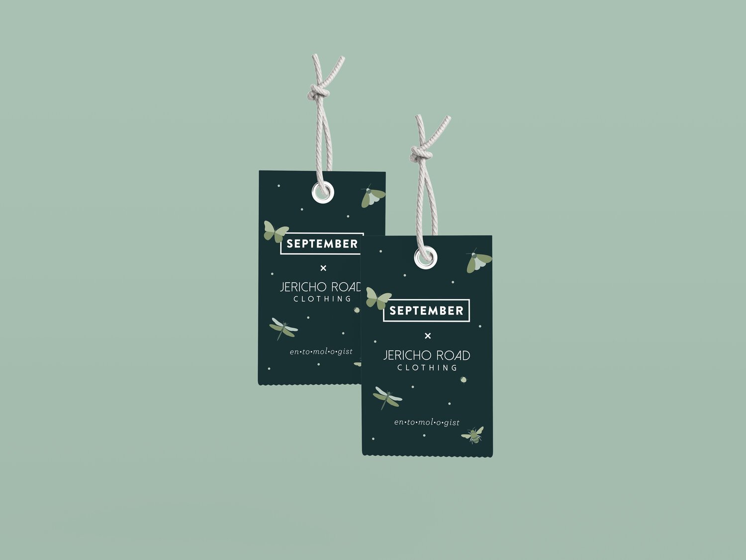 September-Creative-Jericho-Road-Swing-Tag-Entomologist.jpeg