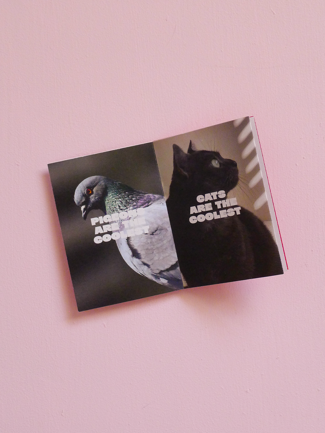 Tamara-Scheiwe_Trend-Alert-Zine_04.png