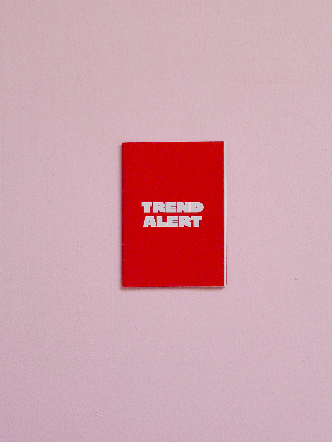 Tamara-Scheiwe_Trend-Alert-Zine_02.png