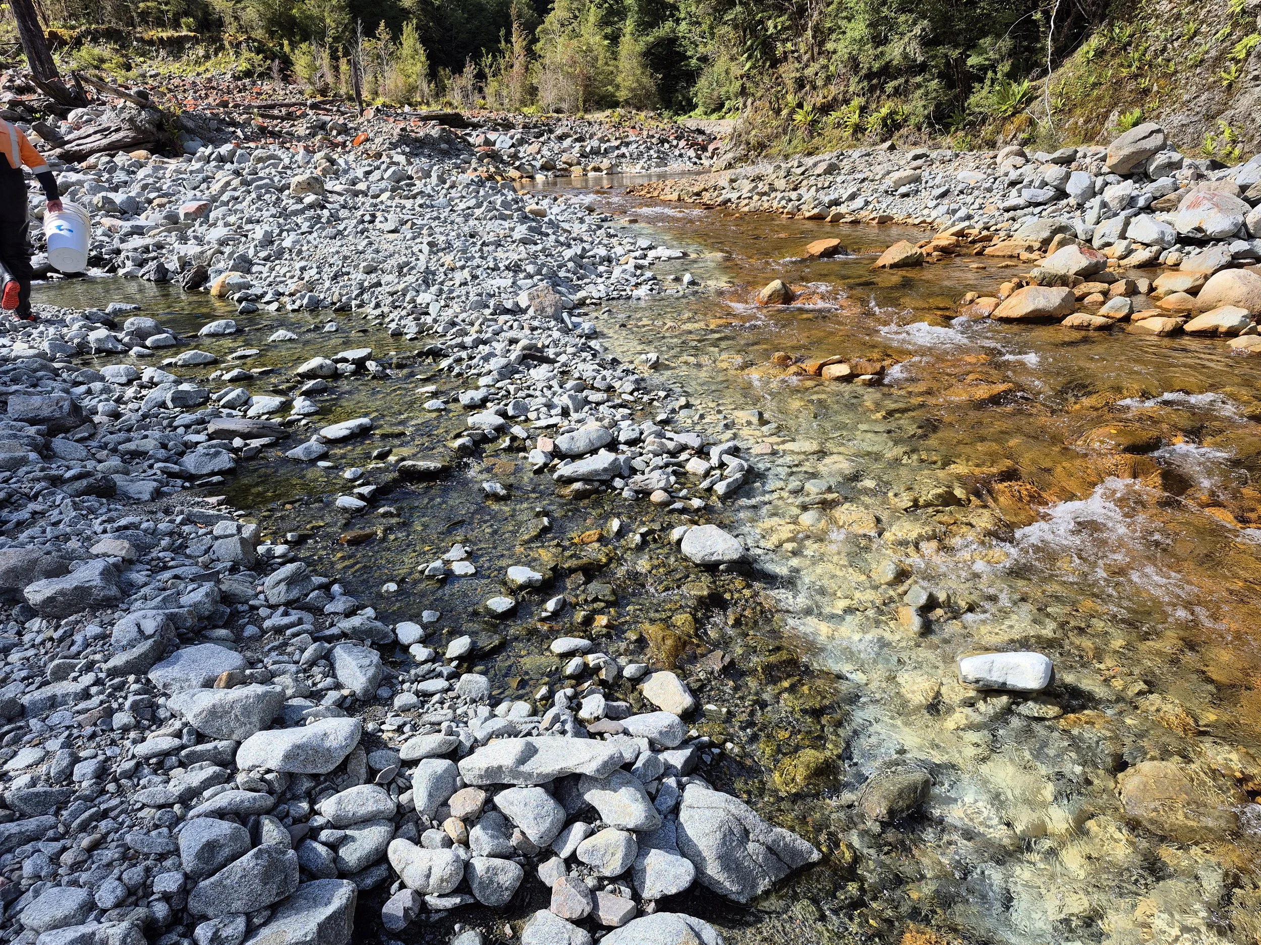 Native Fish Bounce Back Following Treatment of Mine Water Discharges