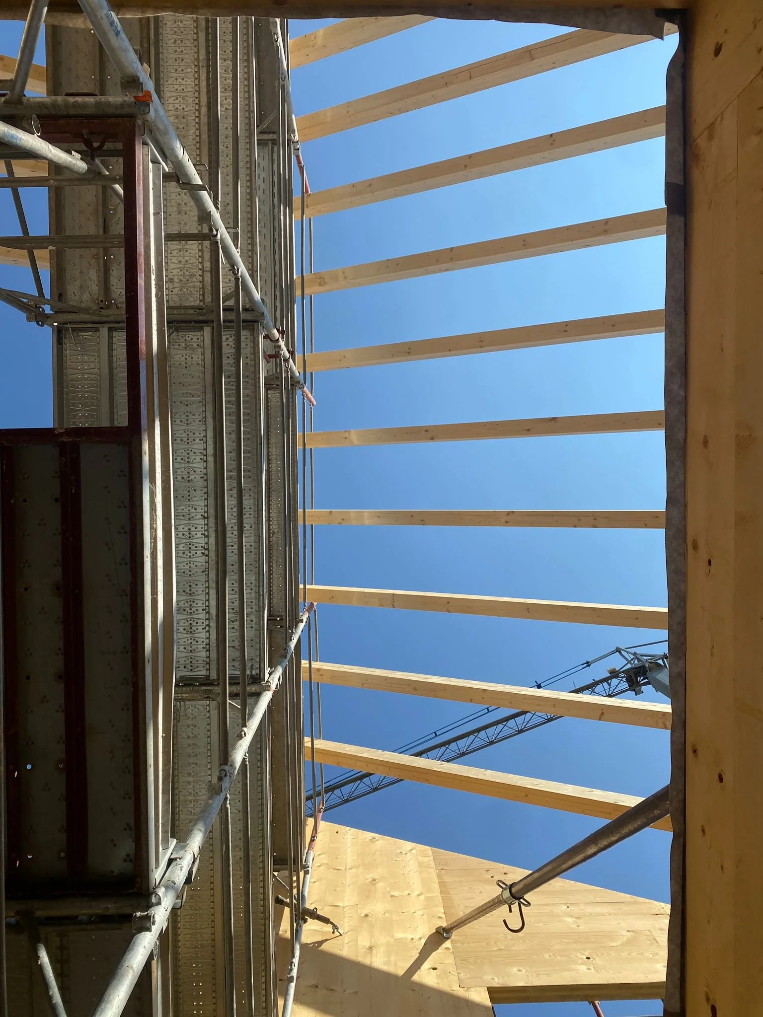 WhatsApp Image 2025-07-17 at 17.19.12.jpeg