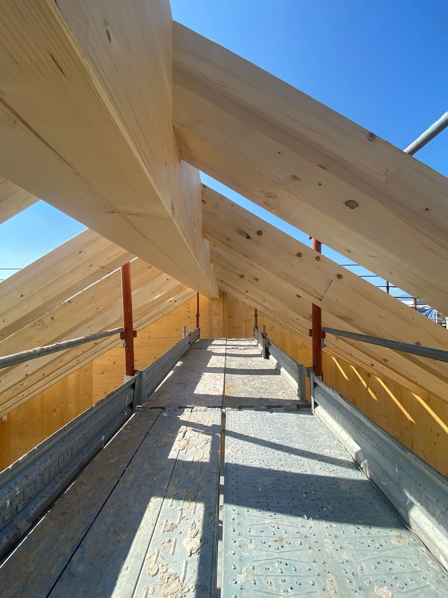 WhatsApp Image 2025-07-17 at 17.19.07.jpeg