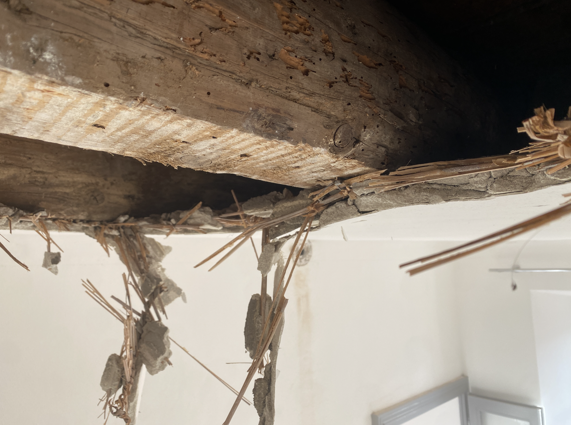 Screenshot 2026-01-14 alle 12.22.24.png