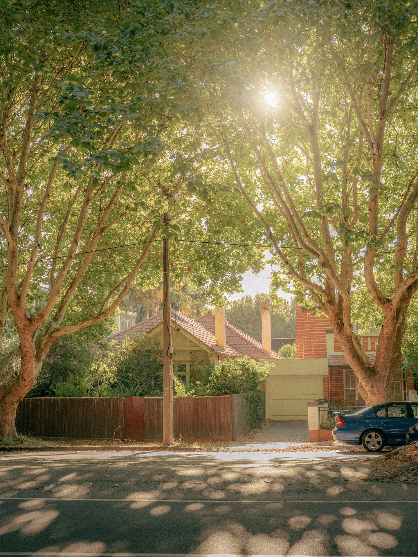 The versatile architecture of Elwood homes 🏡
This suburbs beautiful streets are so natured-filled, and full of so much character.
Prints available, just reach out through Insta or through the link in my bio!
Shot on the Sony A7iv using the Sigma