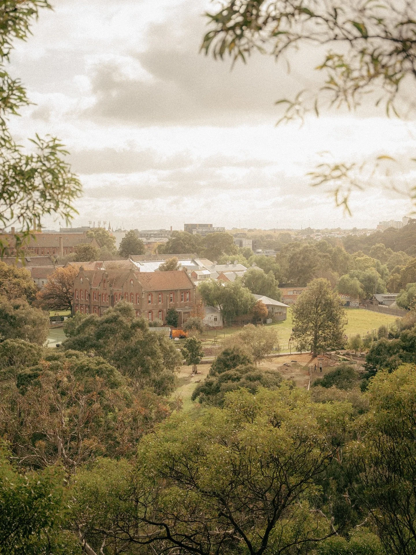 If you haven’t managed to get down to Abbortsford Convent, Collingwood Children’s Farm or walked along Yarra Boulevard, do yourself a favour… 📸🐄
One of my favourite experiences in Melbourne. So close to the city, yet feels like