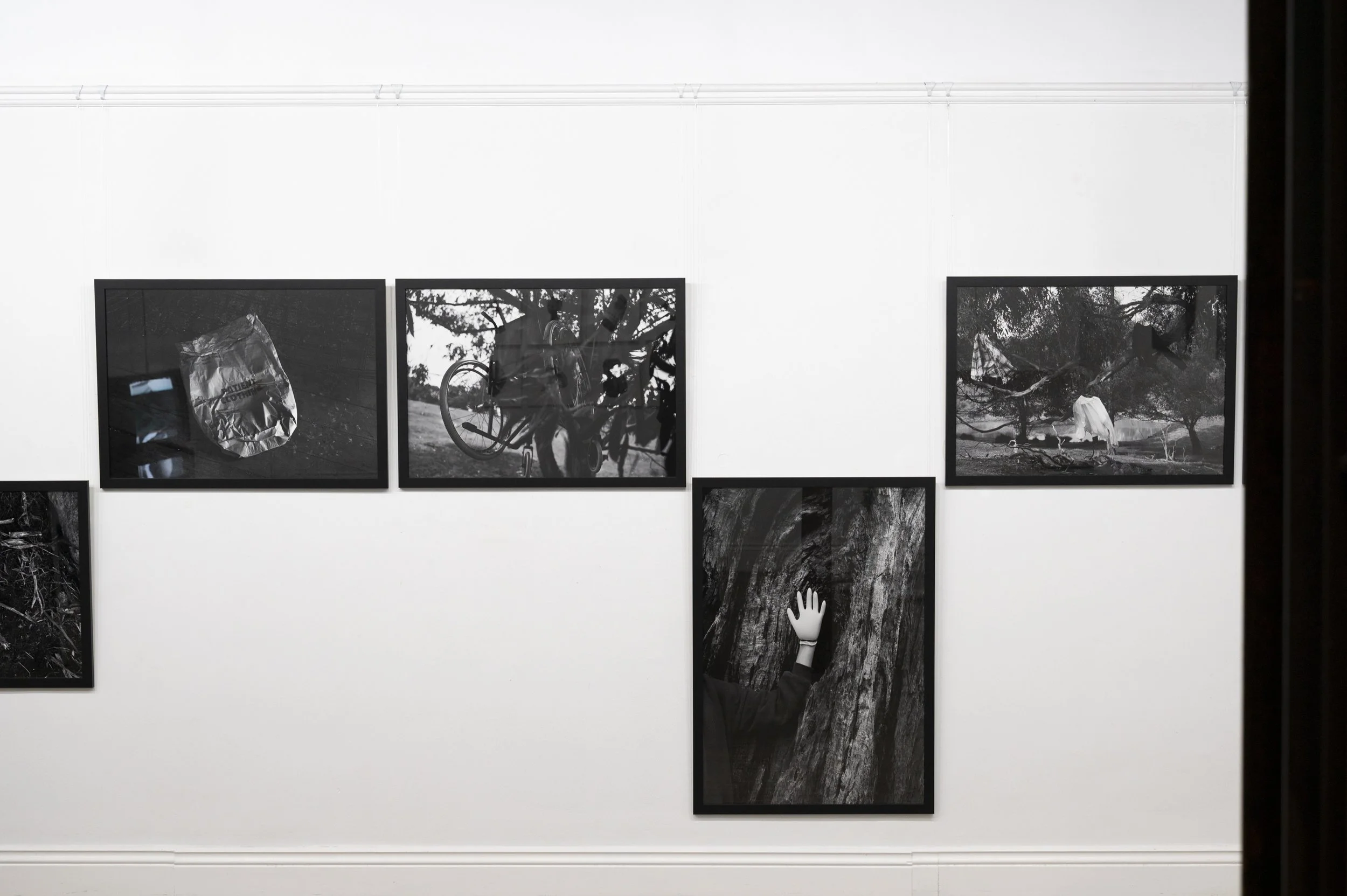 Chronic_Julia Howe_2026_8.jpg