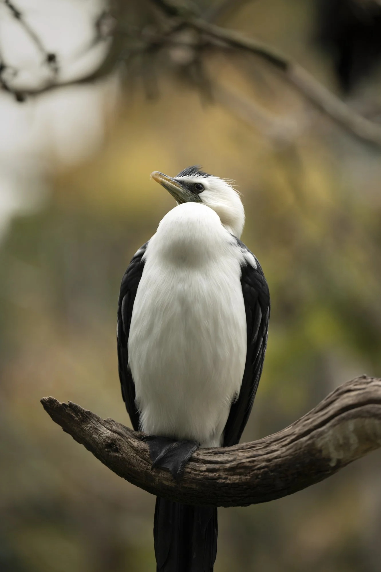 South Australia_09.24_787.jpg