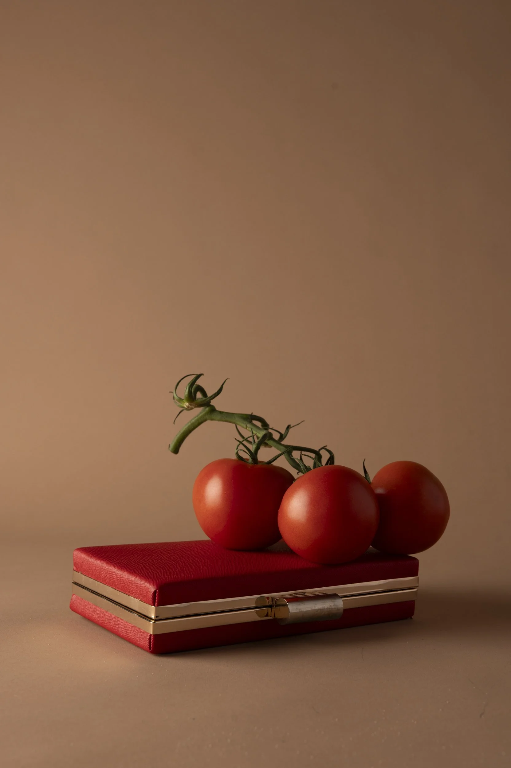 Define Luxury S8_03.26_518.jpg