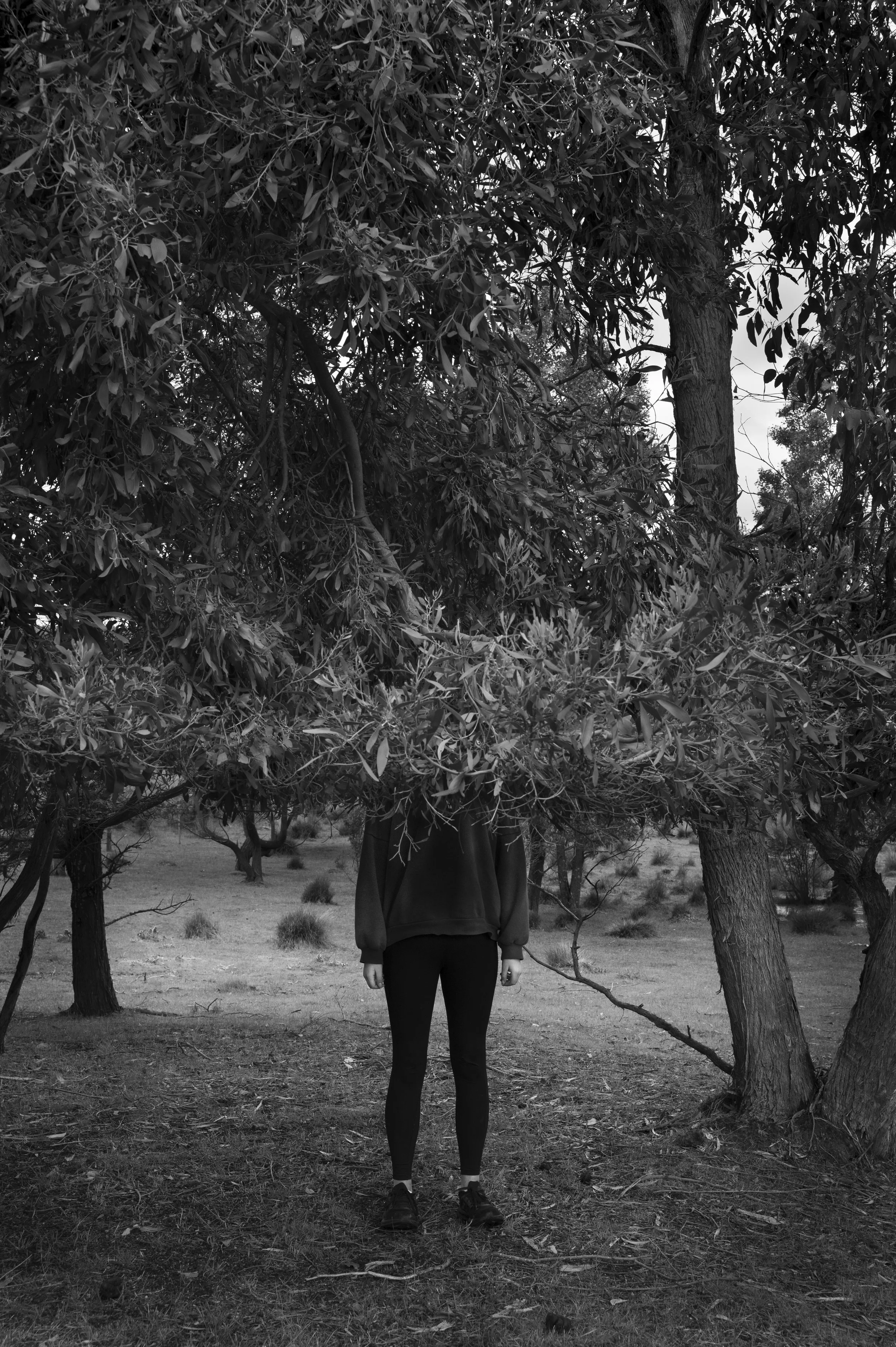 Untitled - Limited Edition Photographic Print