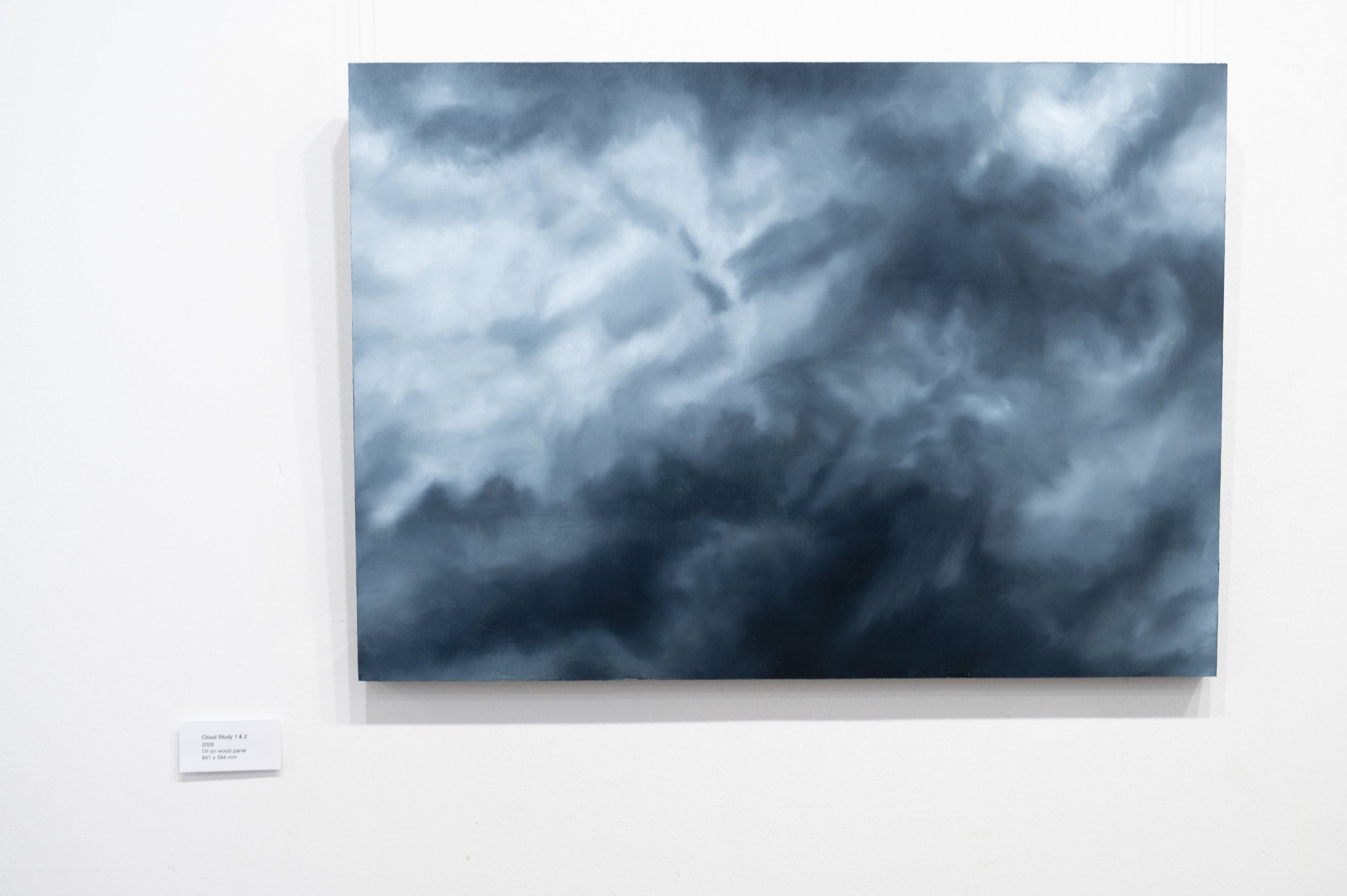 Clouds Study_Chronic_Julia Howe_2026_1.jpg