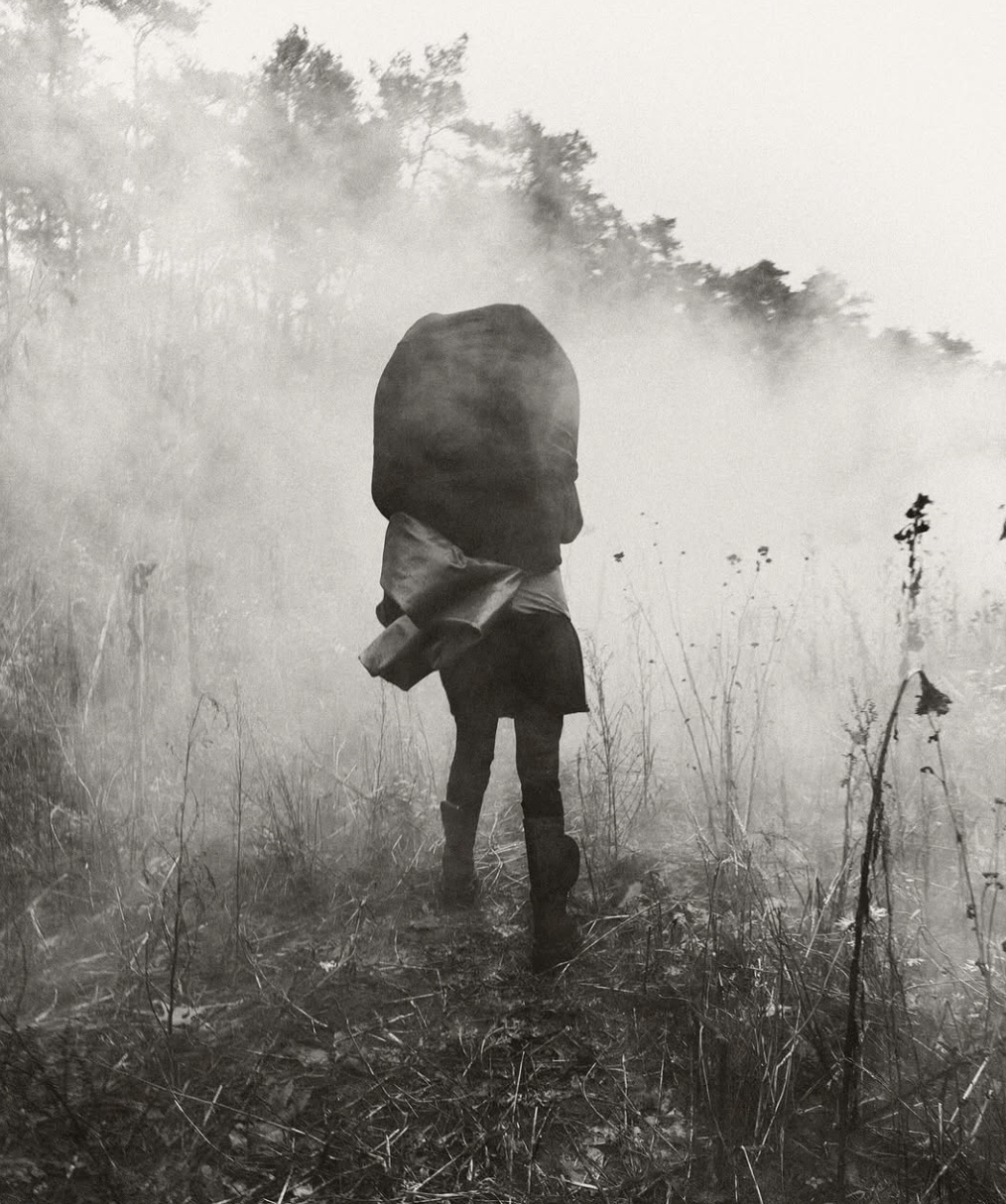 Michele Lamy, Paul Kookier, 2023