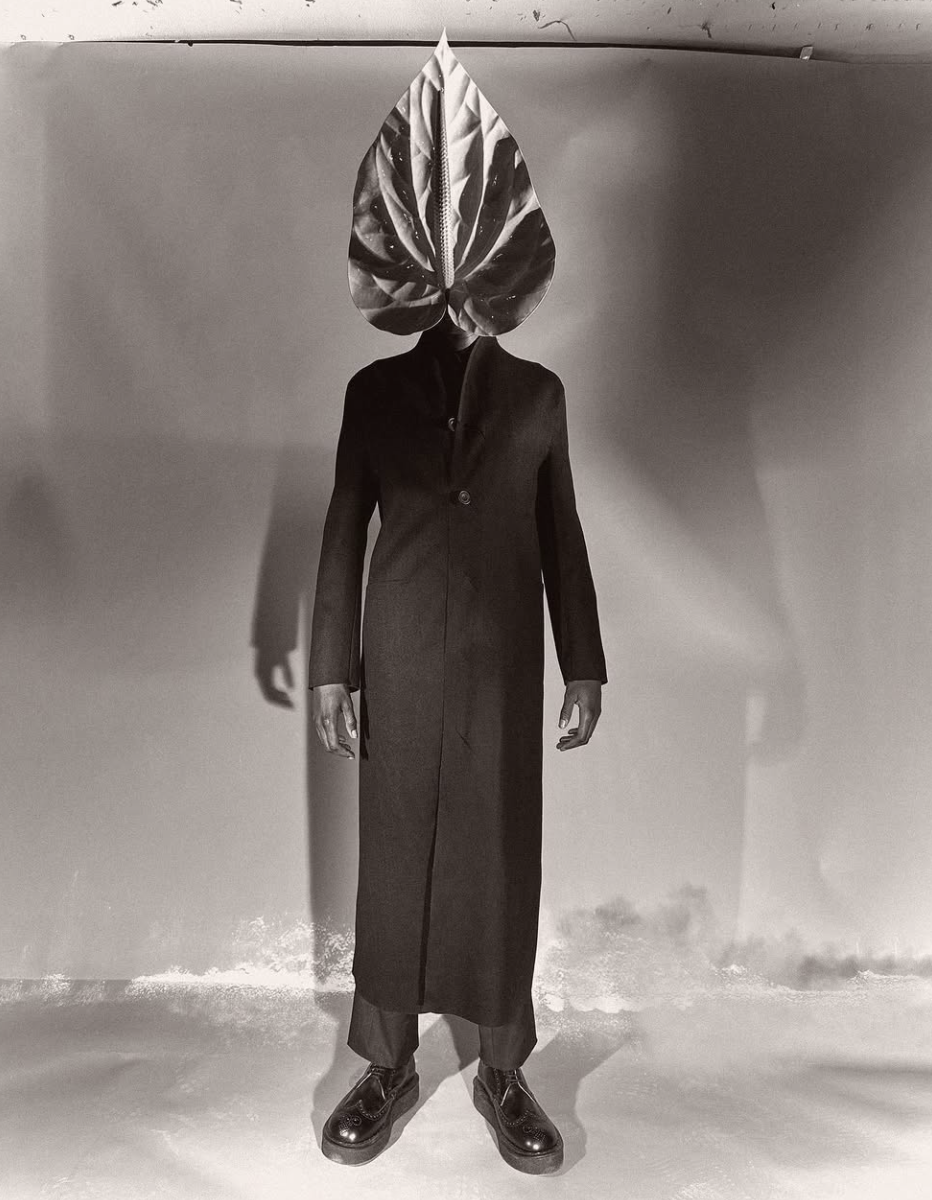 Untitled, Paul Kookier, 2023