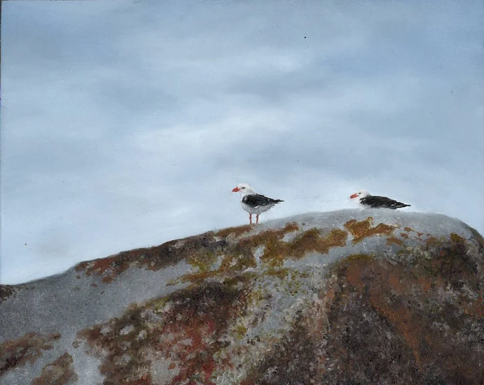 Gulls.jpg