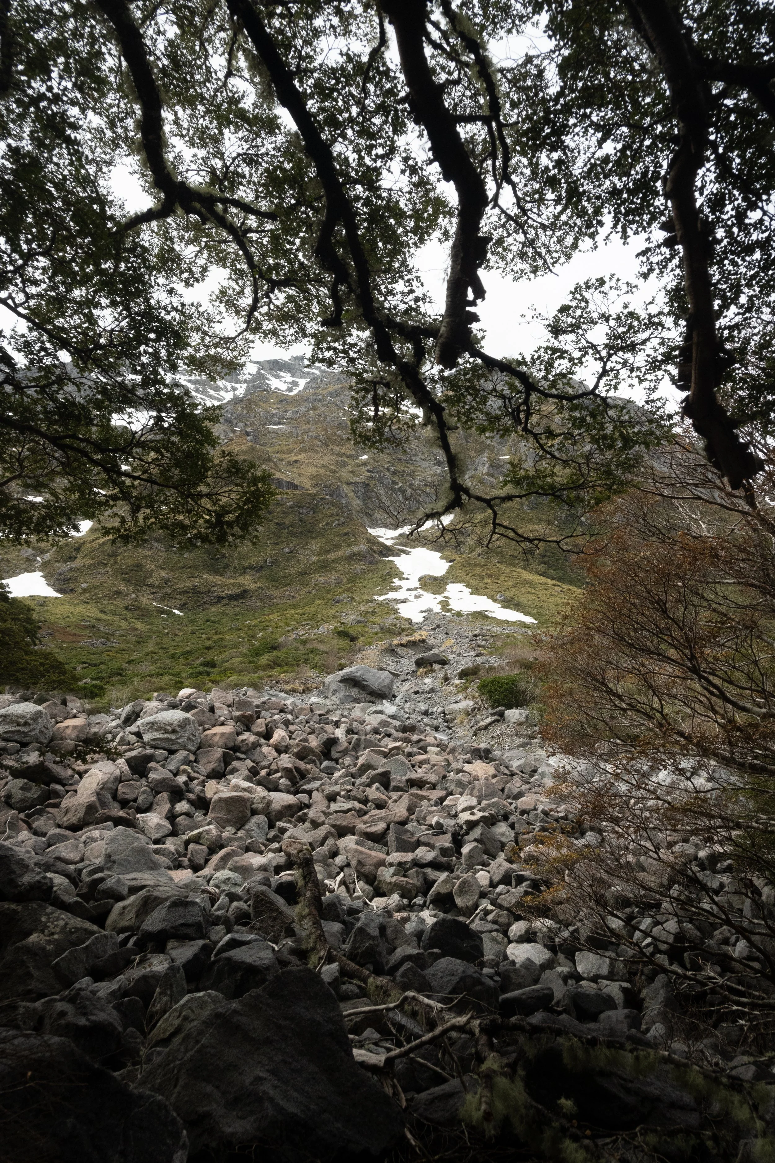 New Zealand-11.jpg