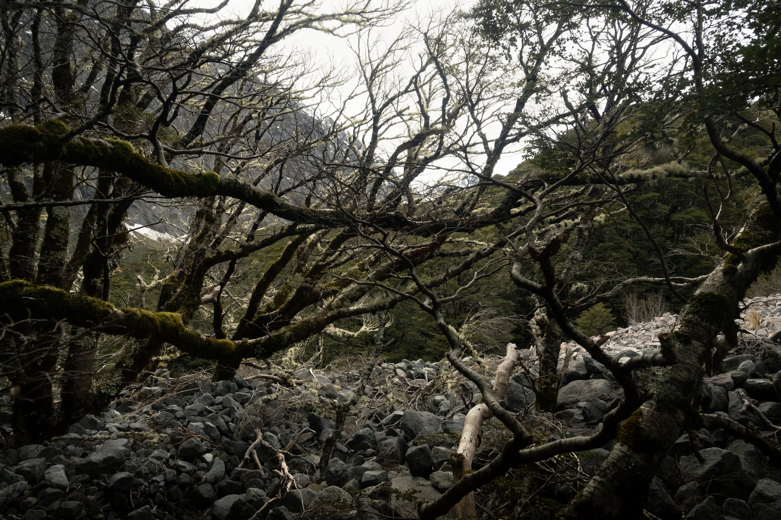 New Zealand-10.jpg
