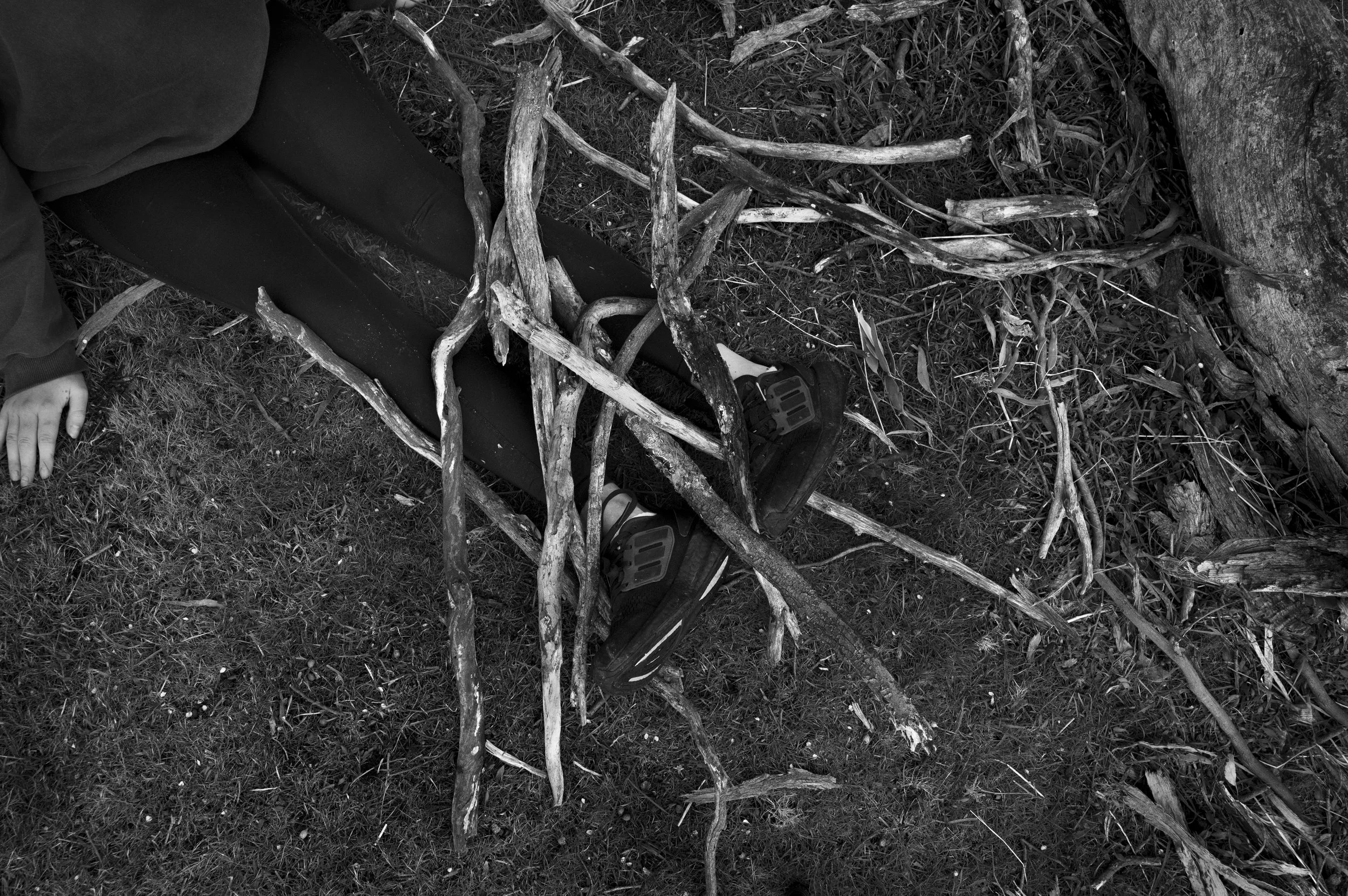 Heavy Limbs - Limited Edition Photographic Print