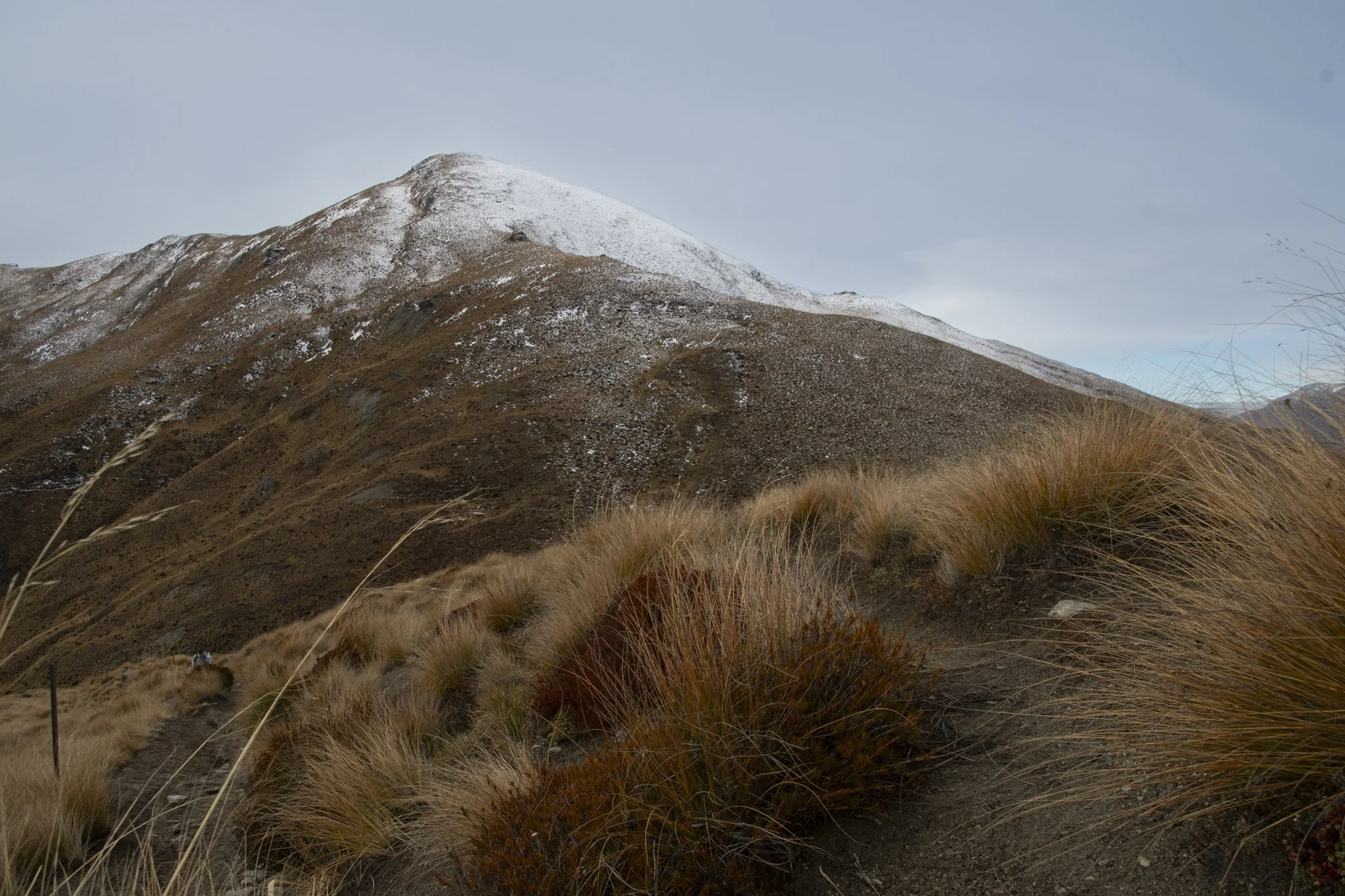 Queenstown_06.24_857.jpg