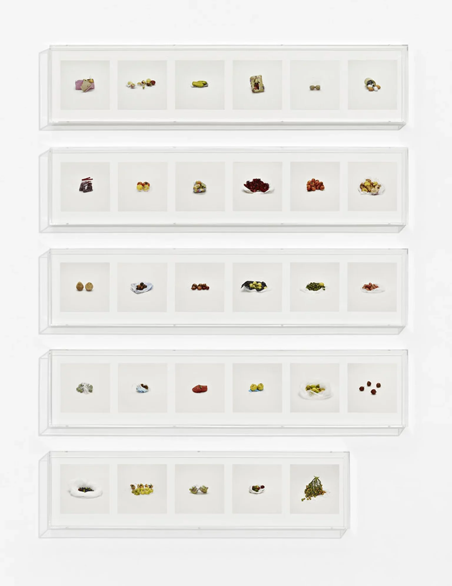 Fruit, Misc. (Prohibited), Taryn Simon, 2010