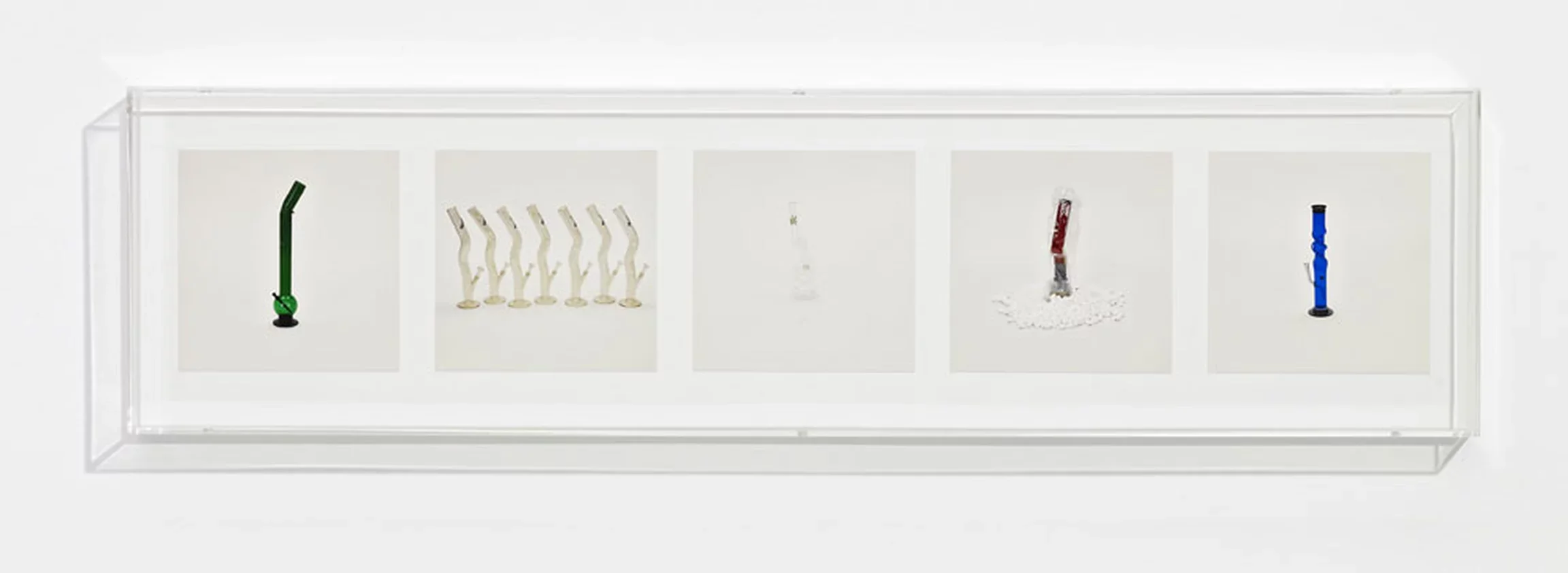 Bongs (Illegal), Taryn Simon, 2010