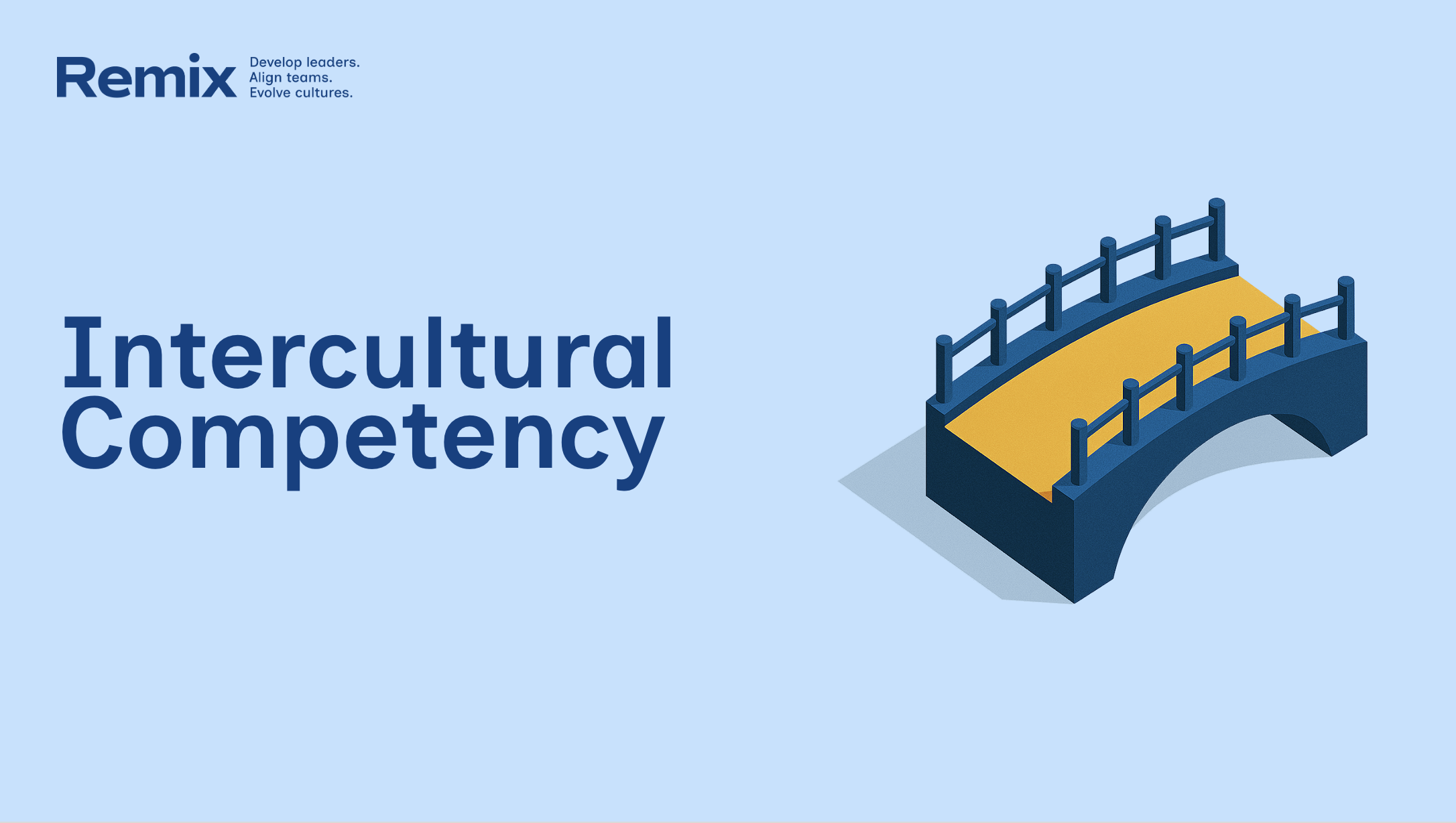 Remix Coaching's Intercultural Competency Experience