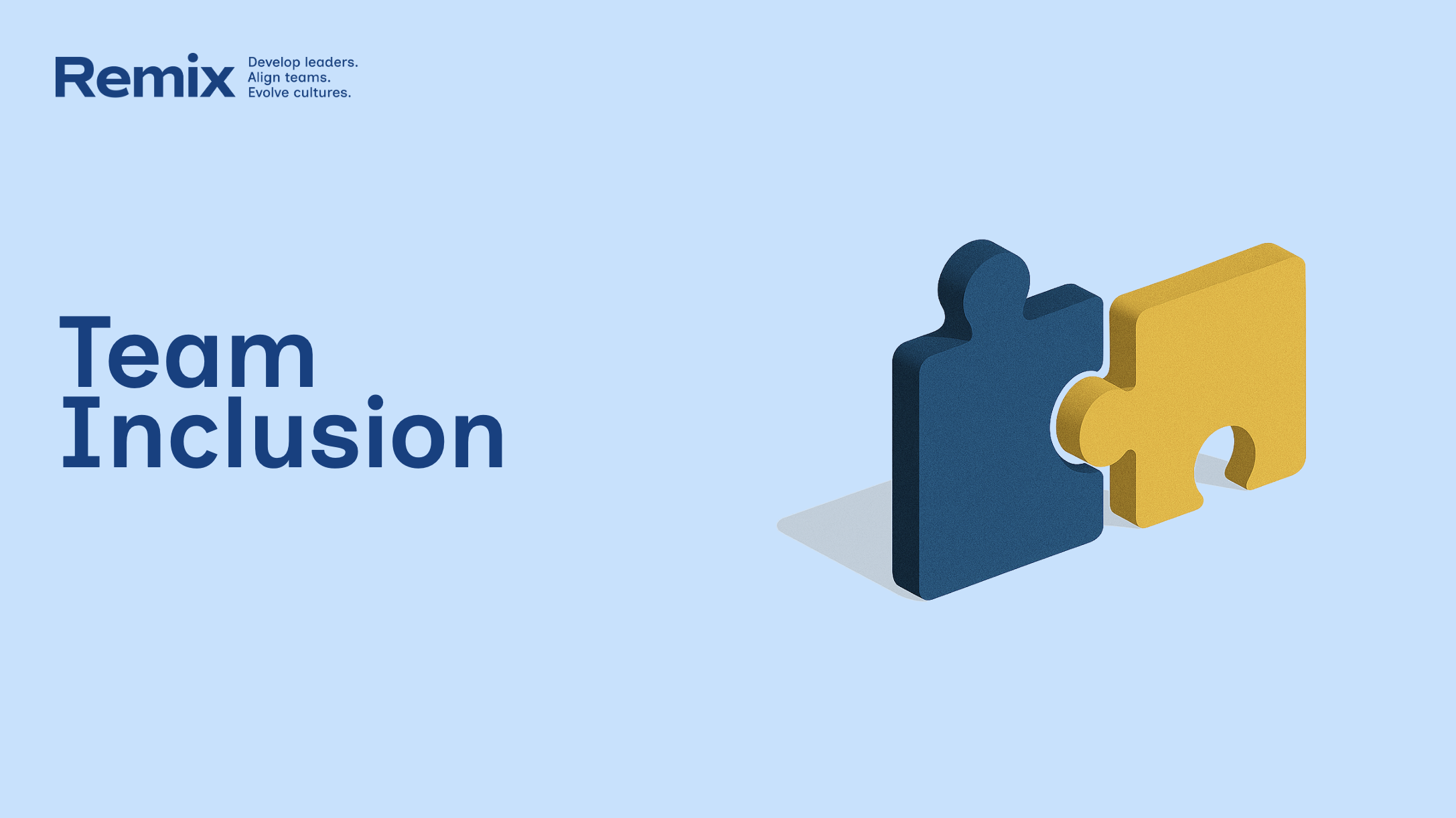 Remix Coaching's Team Inclusion Experience