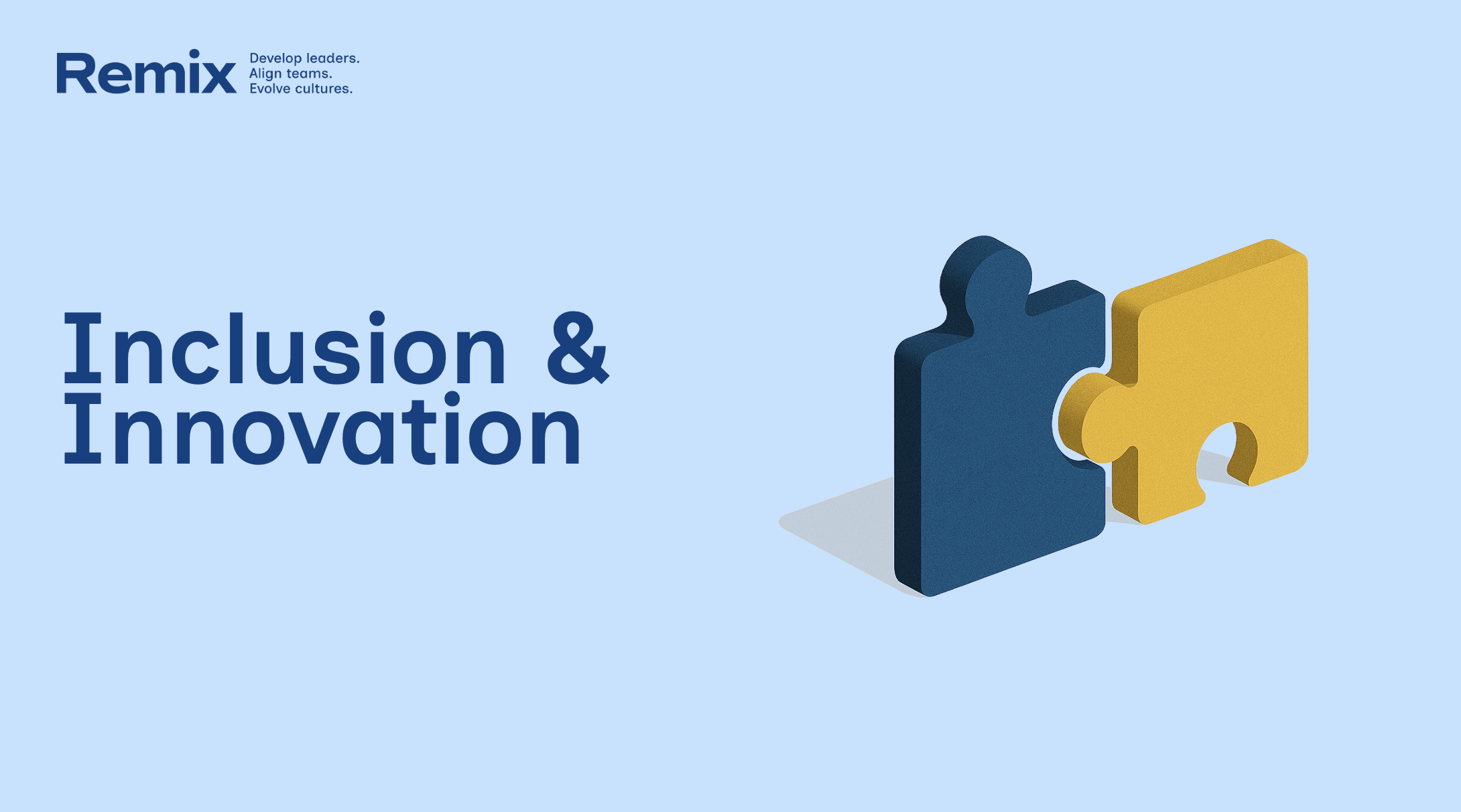 Remix Coaching's Diversity & Innovation Experience