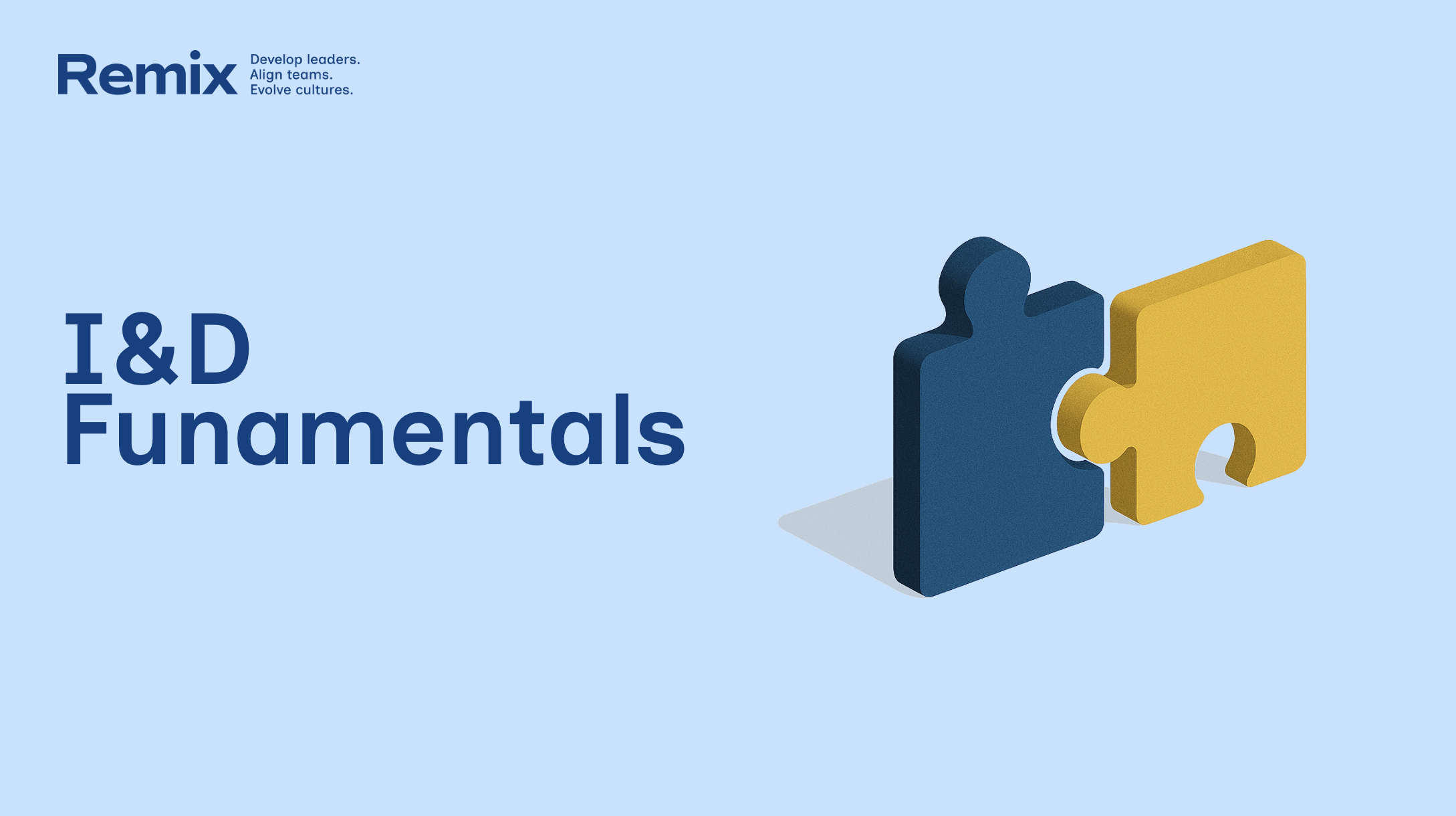 Remix Coaching's Fundamental of Inclusion & Diversity Experience