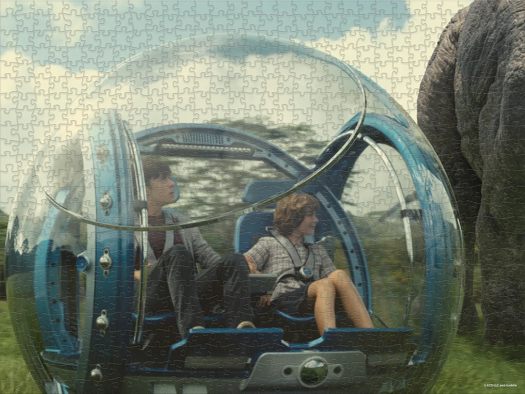 PUZZLE_JW-JP-4-1_800_B.png.webp