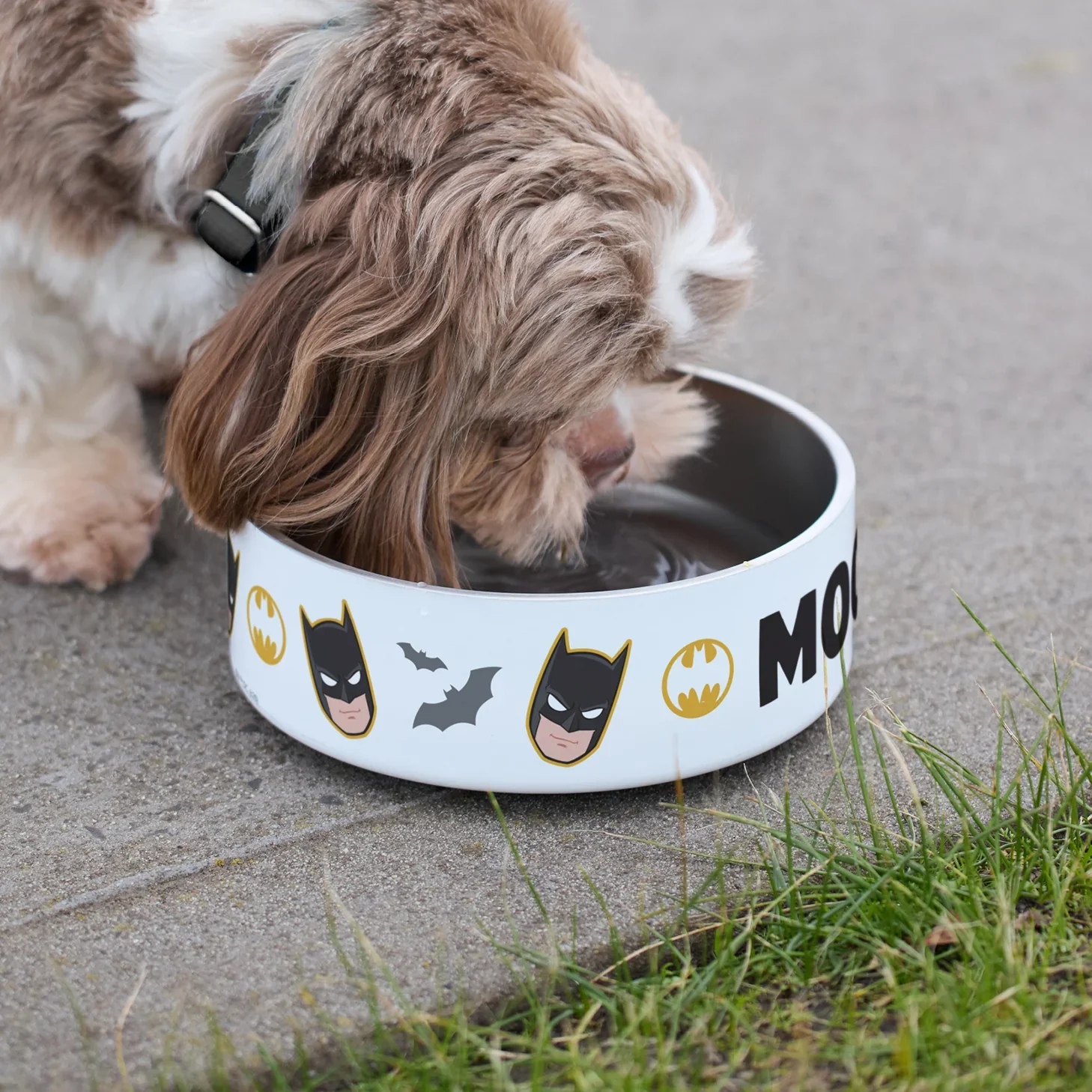 PB_CAT_DOG-BOWL_MEDIUM_BATMAN.jpg.webp
