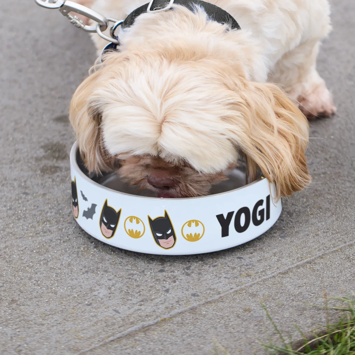 PB_CAT_DOG-BOWL_SMALL_BATMAN.jpg.webp