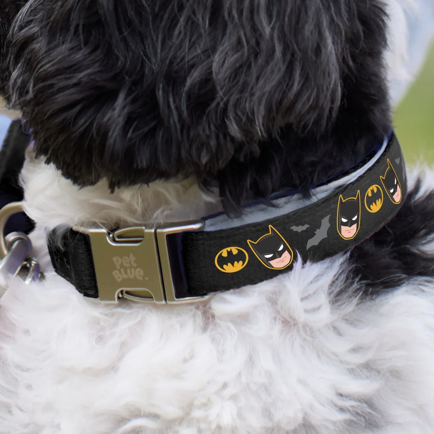 PB_CAT_DOG-COLLAR_BLACK_BATMAN.jpg.webp