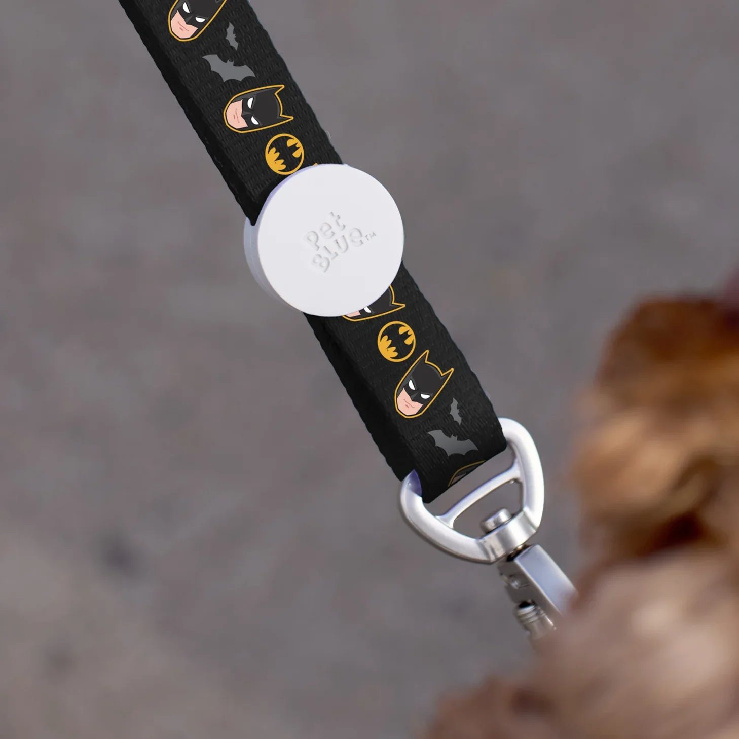 PB_CAT_LEASH_BLACK_BATMAN.jpg.webp