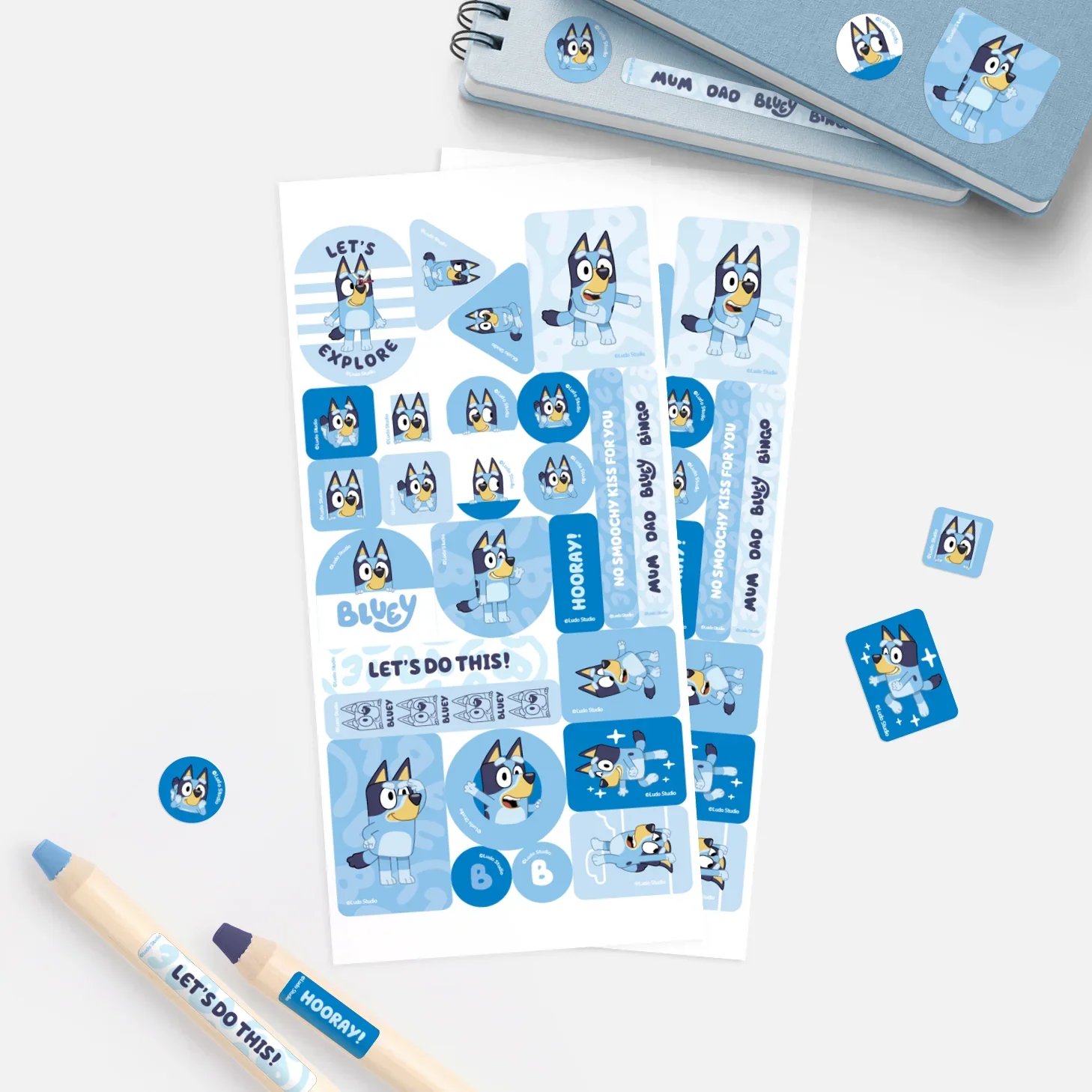 HB_CAT_MIXED-26_BLUEY_NAME-PARTY.jpg.webp