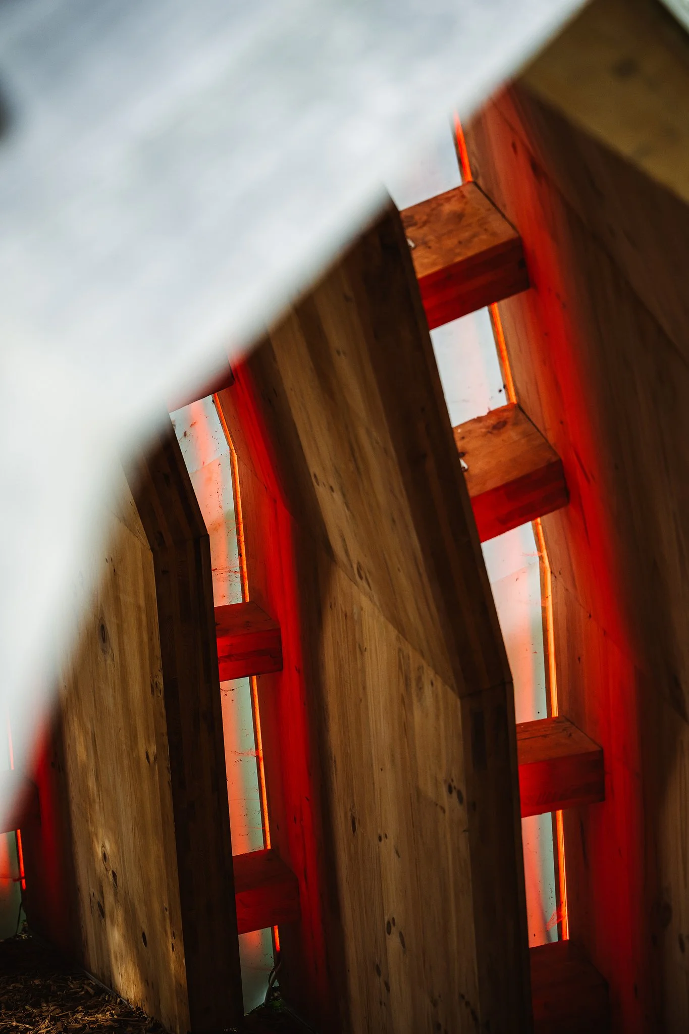 250809_HOUGHTON_2025_KhaliAckford_@khaliphotography_@khromacollective-8354 [Web].jpeg