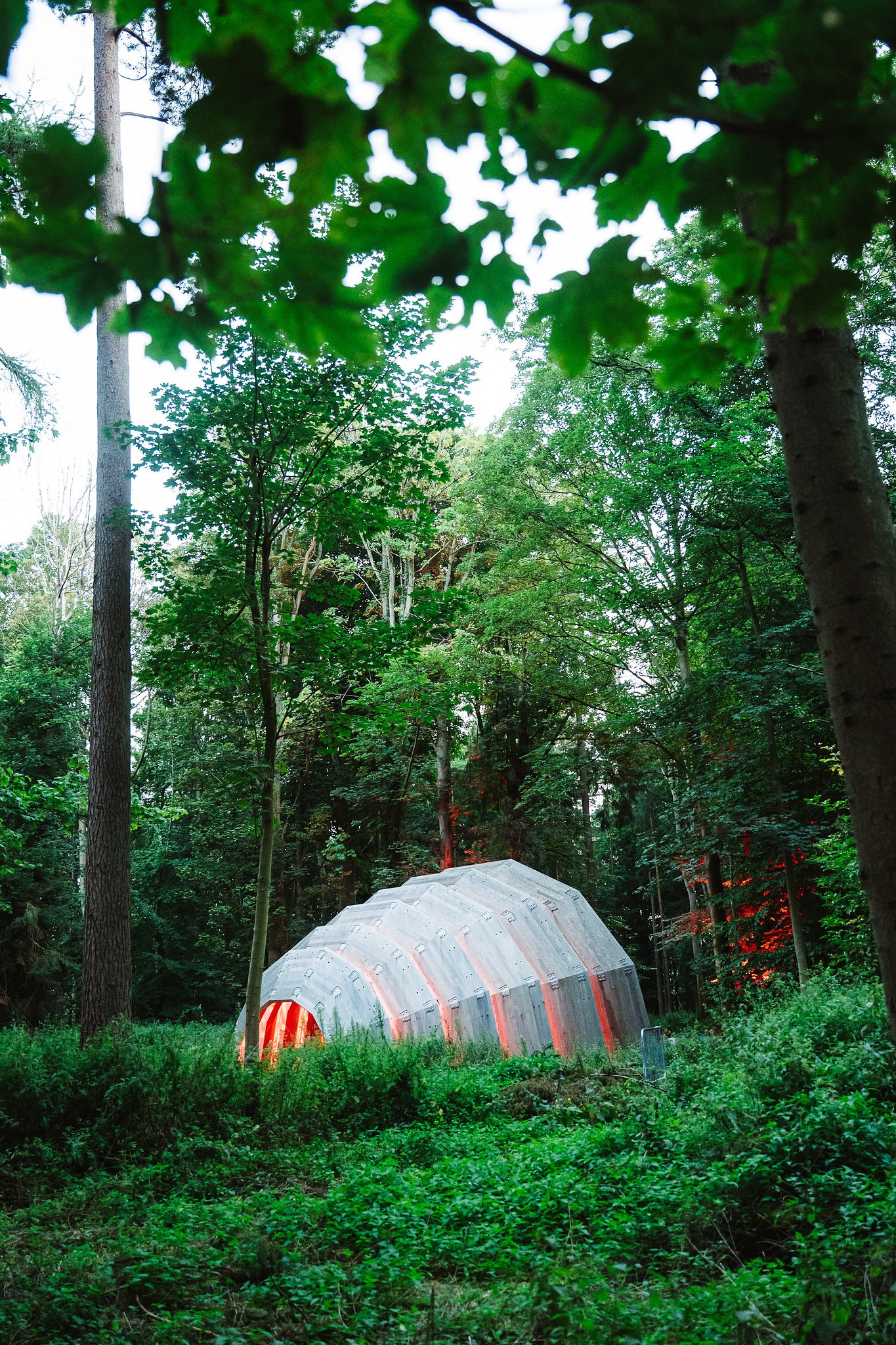 250809_HOUGHTON_2025_KhaliAckford_@khaliphotography_@khromacollective-8776 [Web].jpeg