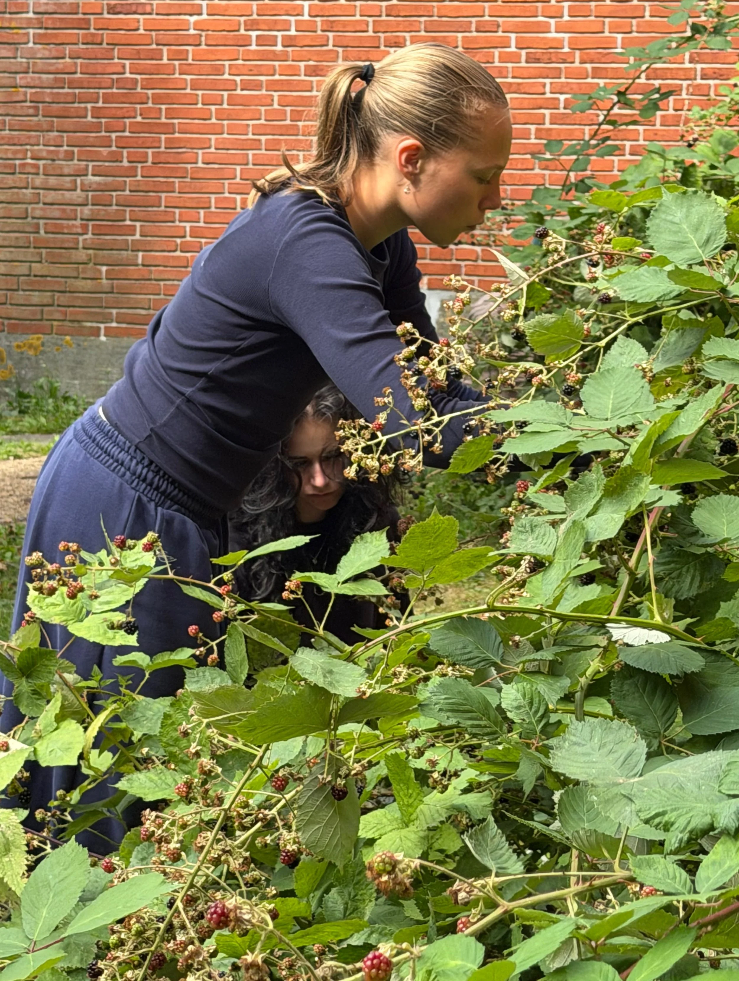 Today&rsquo;s Sank og &AElig;d class turned into&hellip; blackberry jam! 🫐

We had so much fun picking blackberries around the school - although it took some careful work to get enough berries without getting caught by the prickly bushes!

Now we ha