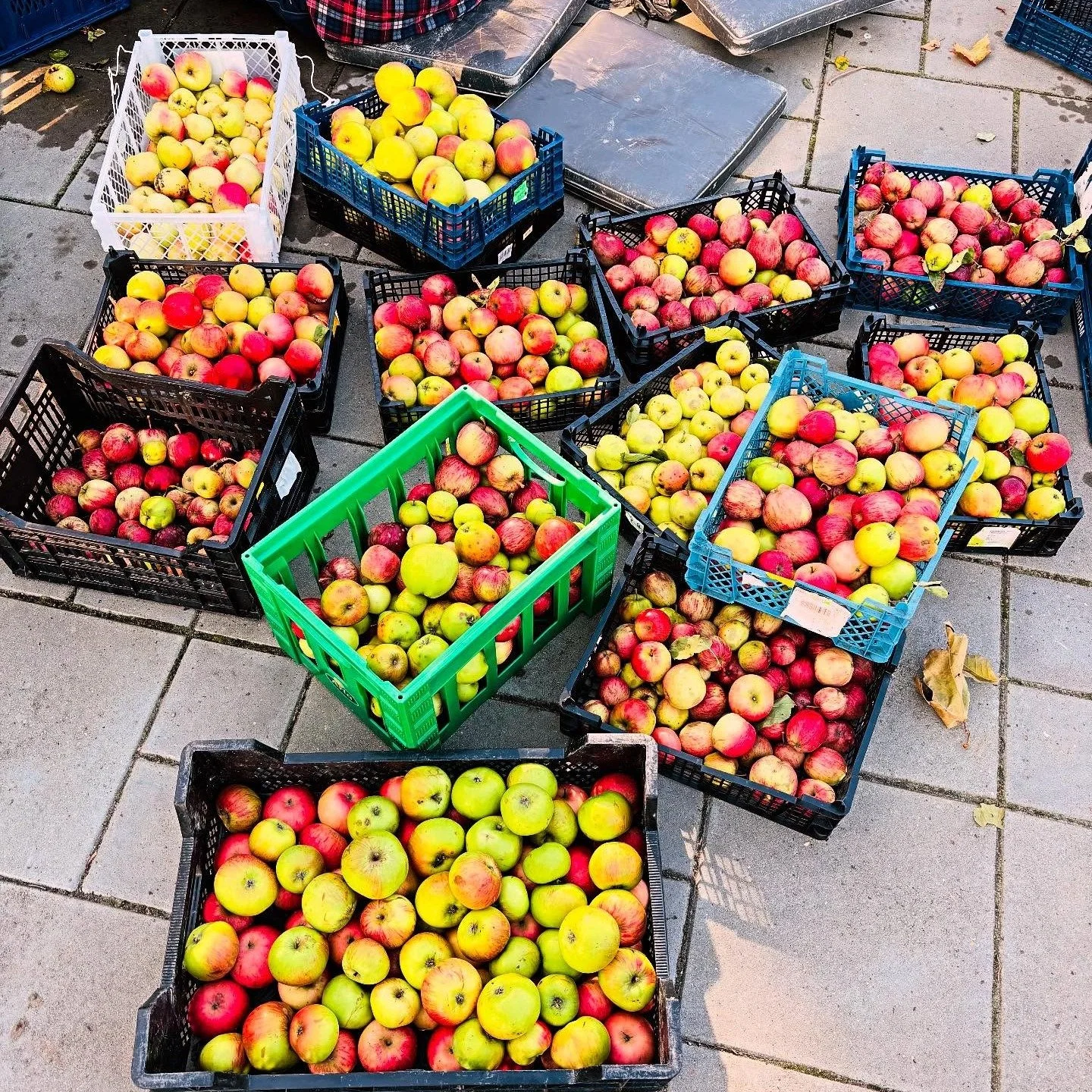 Har du &aelig;bler i overskud? 🍏🍎 S&aring; kommer vi gerne forbi og hj&aelig;lper dig af med dem for en stor pose &aelig;blemost til geng&aelig;ld. Vi skal p&aring; rov mandag 28.9 mellem kl. 11-12 og tirsdag 29.9 mellem kl. 14.40-15.30. Hvis vi m&
