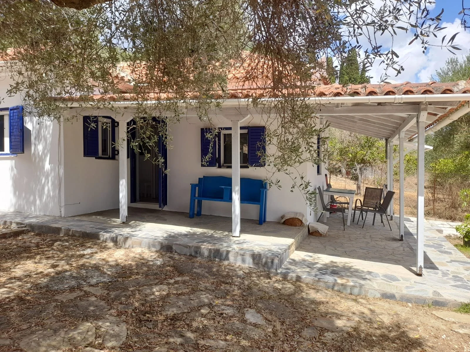 new stafida pics 11.jpeg